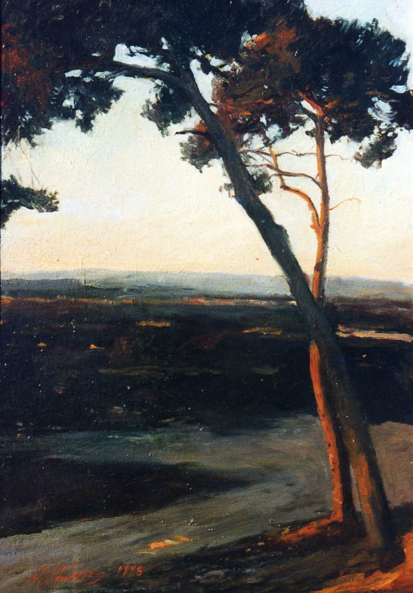 Landscape of Spain by Alejandro Cabeza