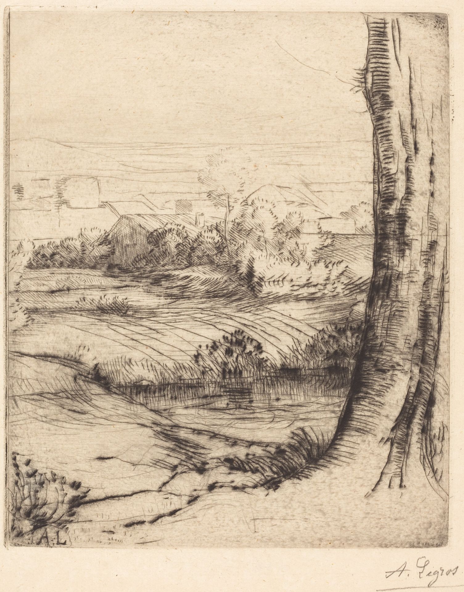 View of Reeds (Coin de roseau) by Alphonse Legros