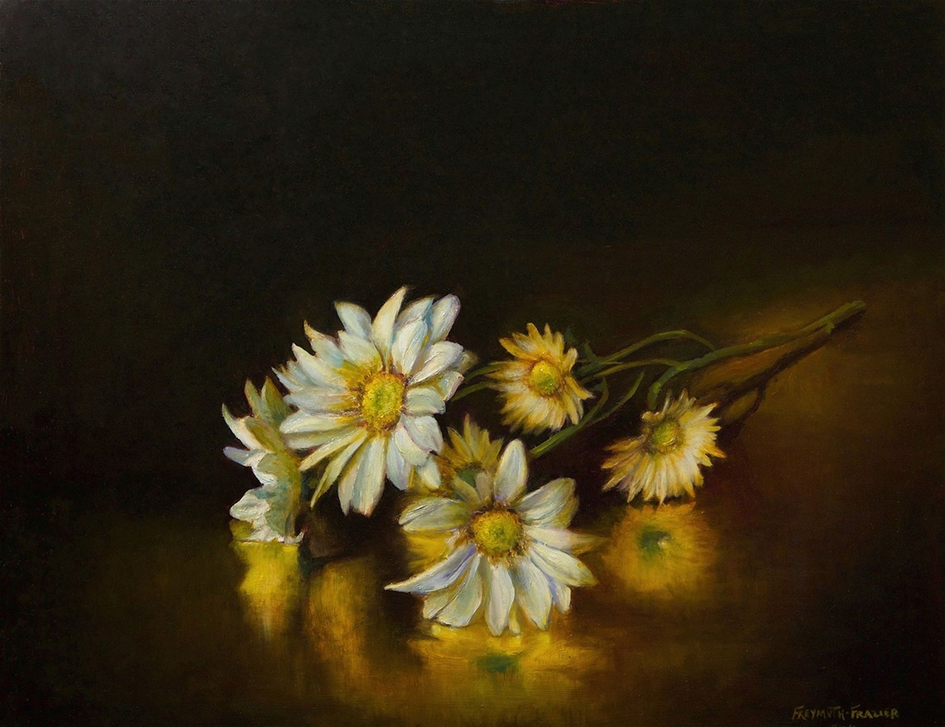 Daisies by Rose Freymuth-Frazier