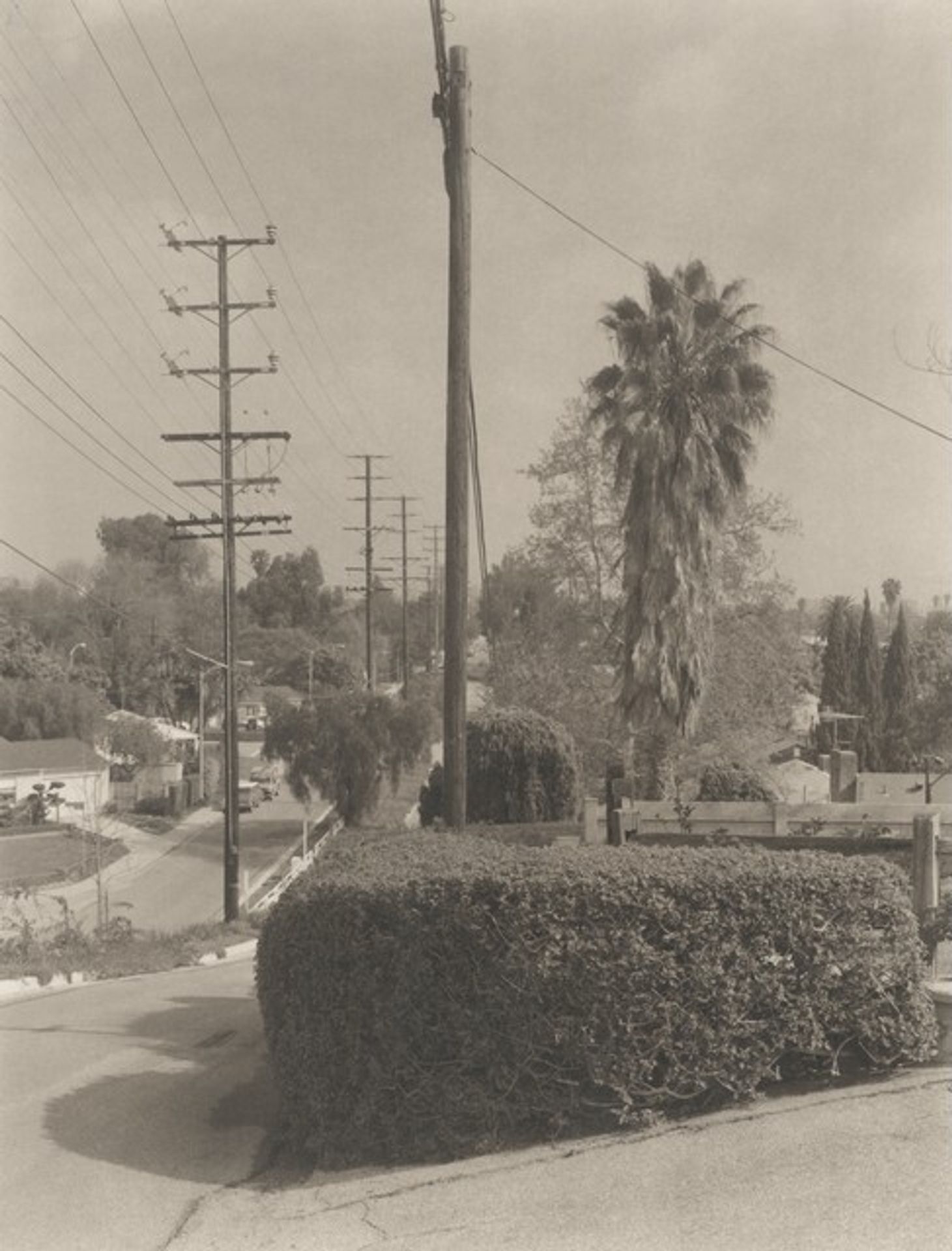 Charnock Road/Inglewood Boulevard, Mar Vista (Venice) by Madoka Takagi