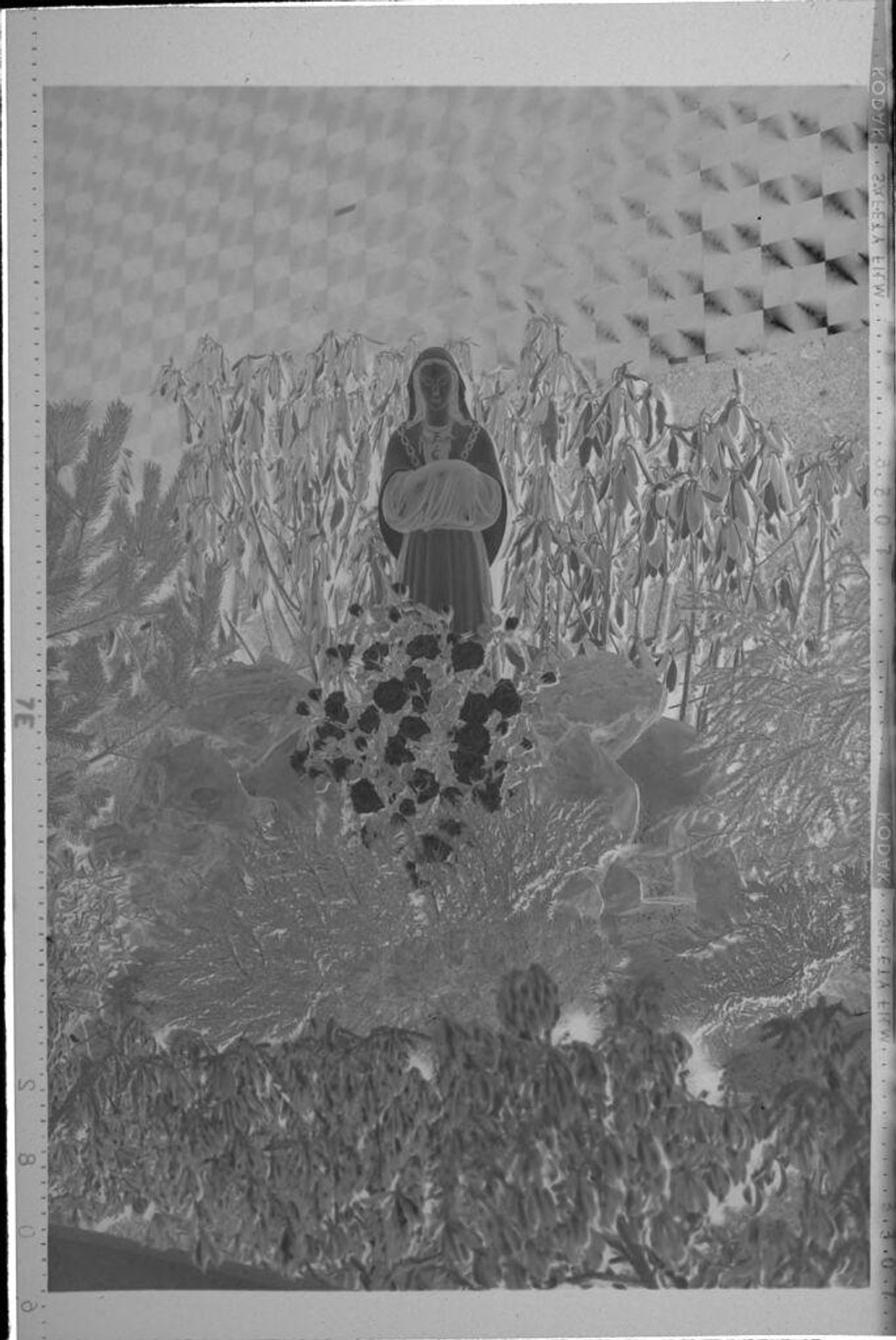Untitled (religious statue in garden) by Robert Burian