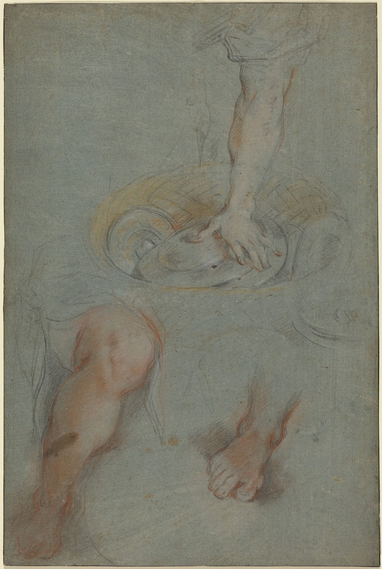 Studies for a Servant in "The Last Supper" by Federico Barocci