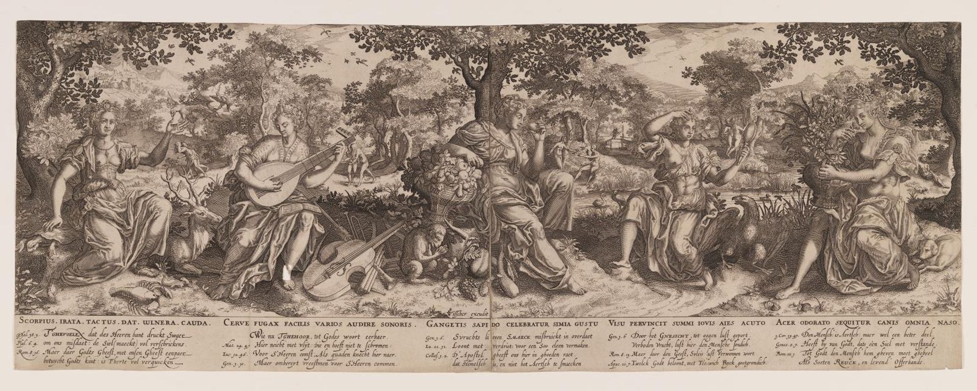 The Five Senses by Anonymous