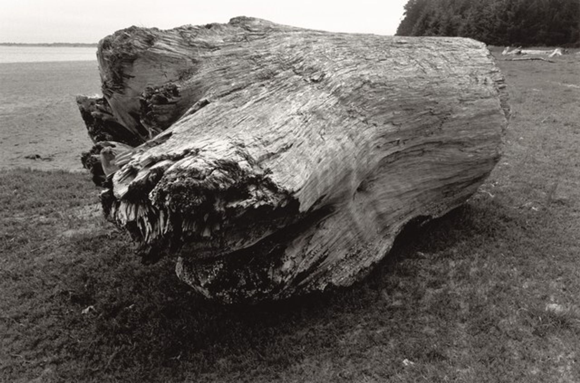 The River’s Edge by Robert Adams