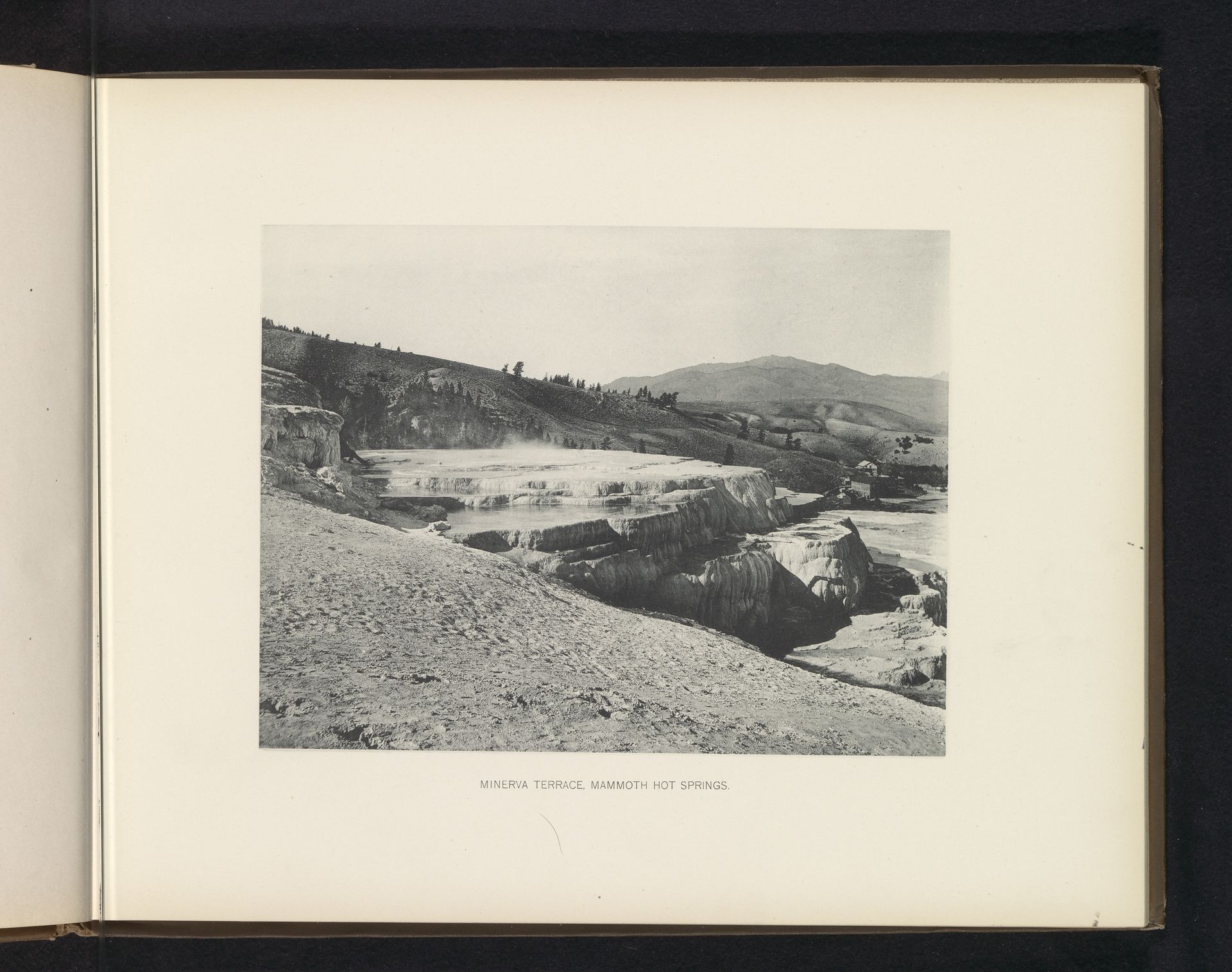 Minerva terrace, Mammoth hot springs by Frank Jay Haynes