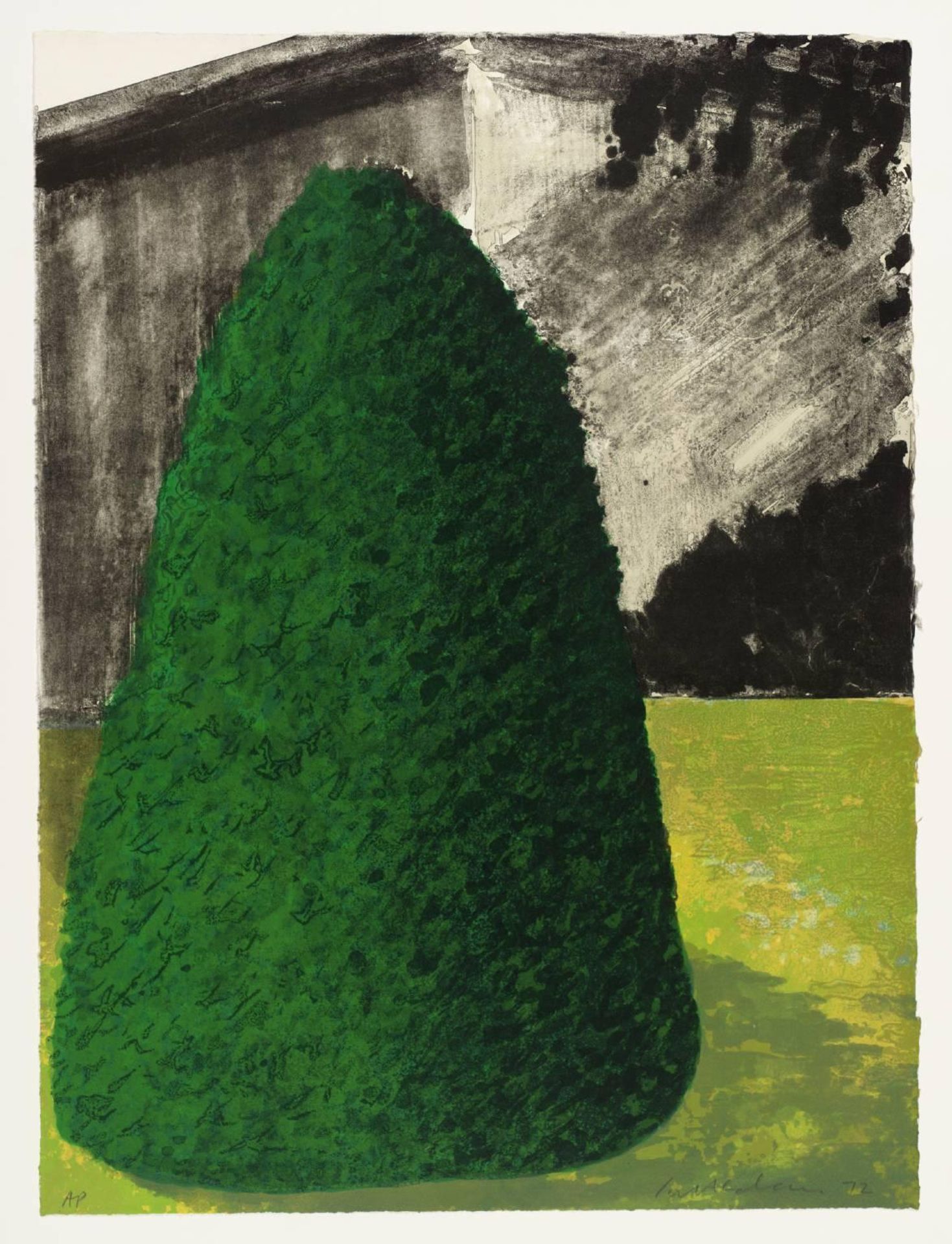 Suburban Shrub I (Dawn) by  Ivor Abrahams