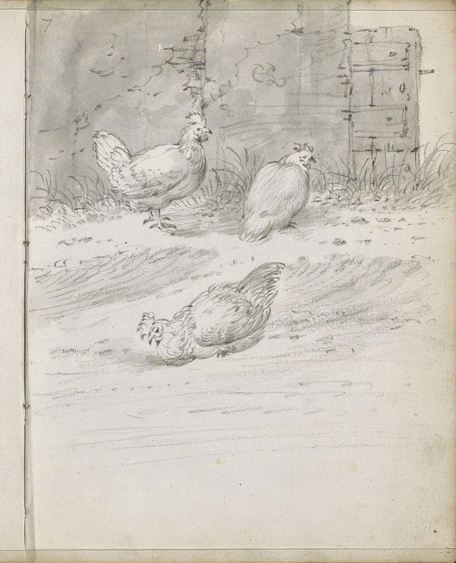 Kippen op een erf by Cornelis Saftleven