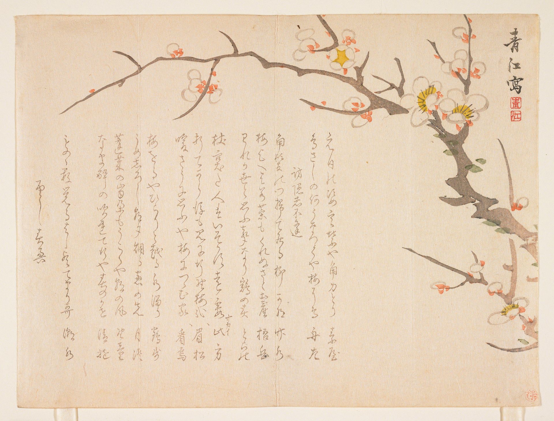 (Flowering plum) by Hashimoto Seikō