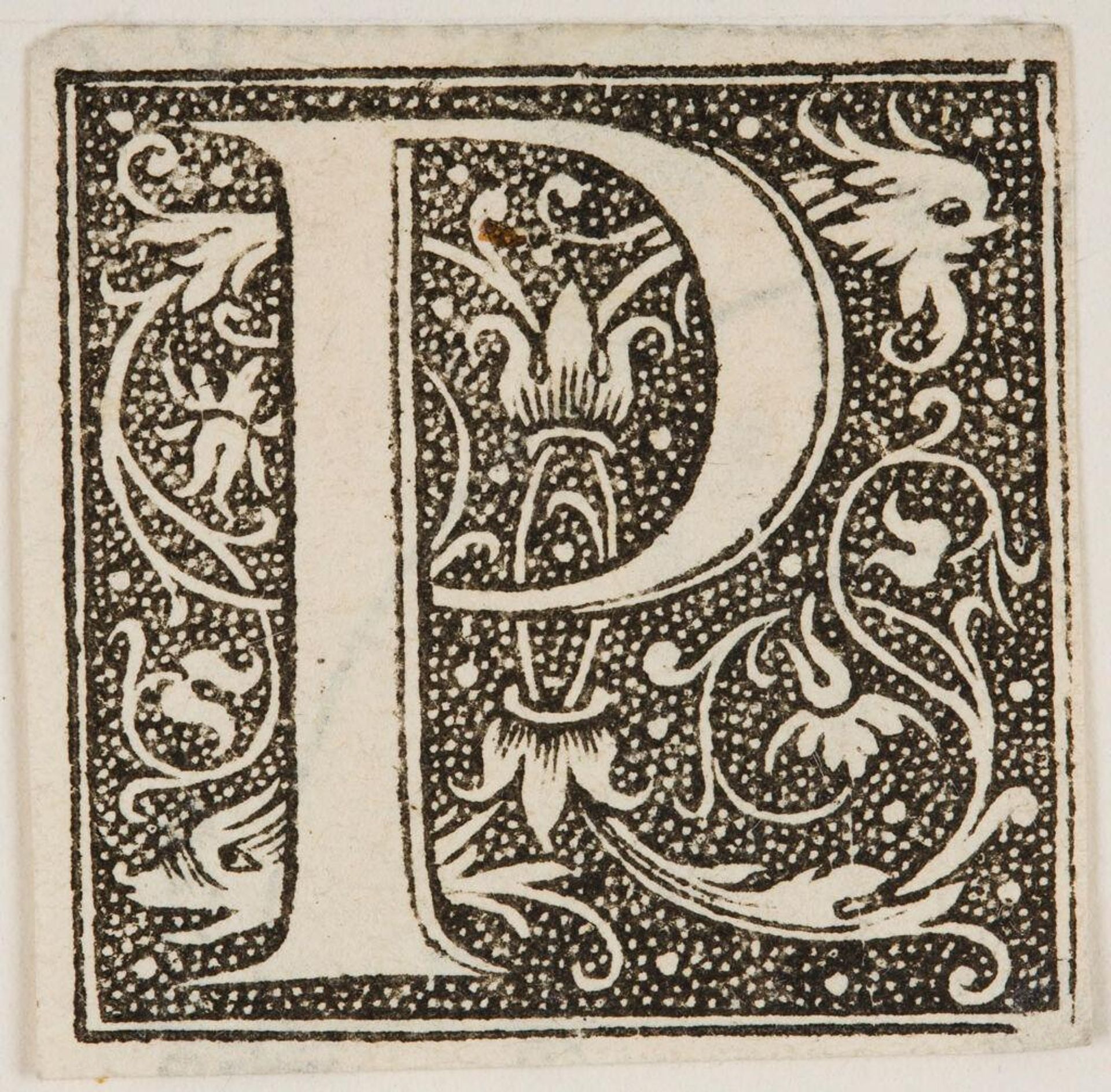 Letter P by Anonymous