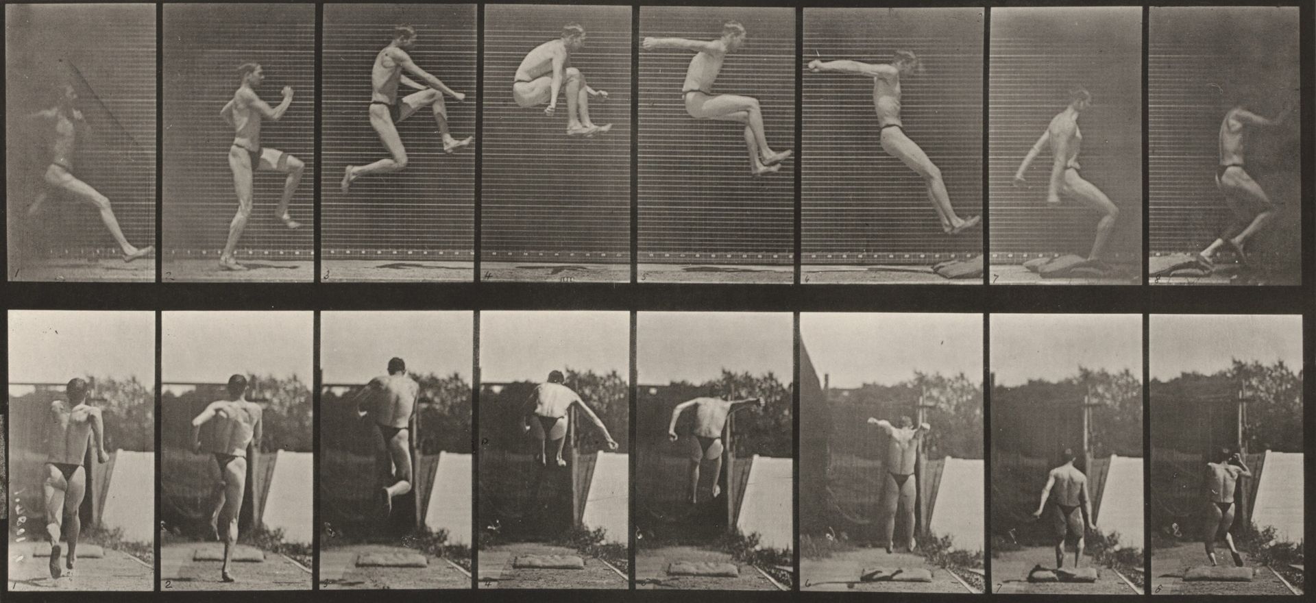 Plate Number 160. Jumping, running broad jump by Eadweard Muybridge