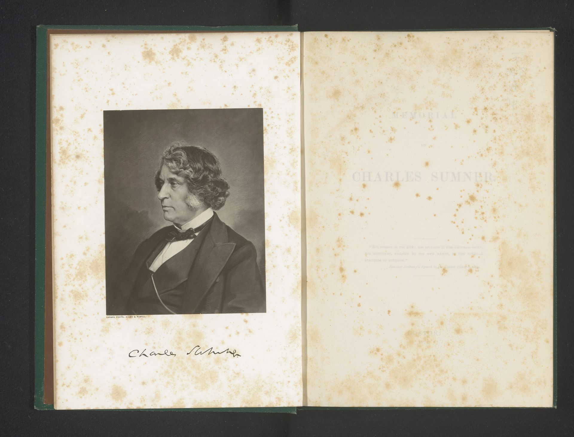 Portret van Charles Sumner by Allen & Rowell