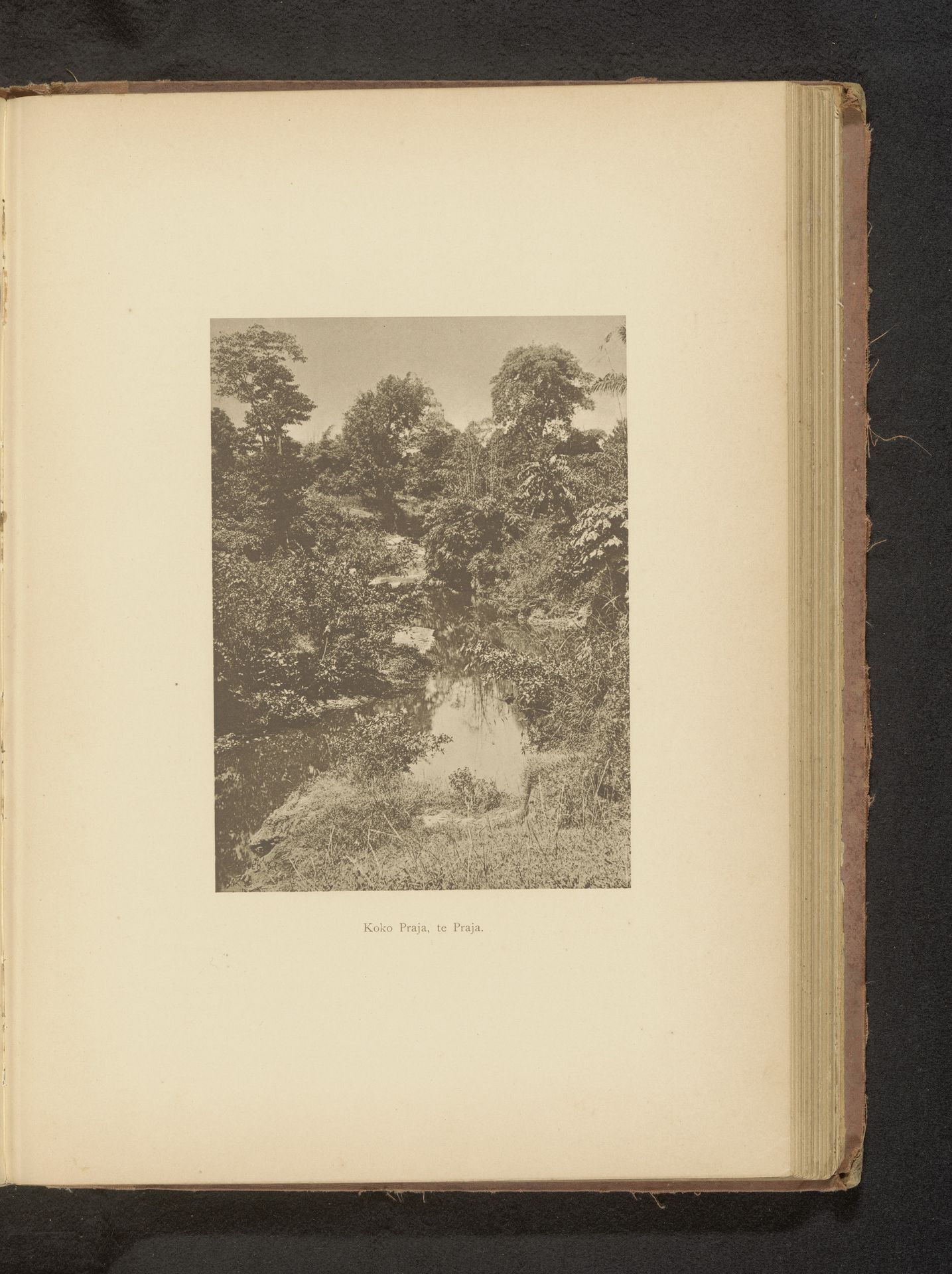 Gezicht op een rivier in een bebost gebied by Christiaan Johan Neeb