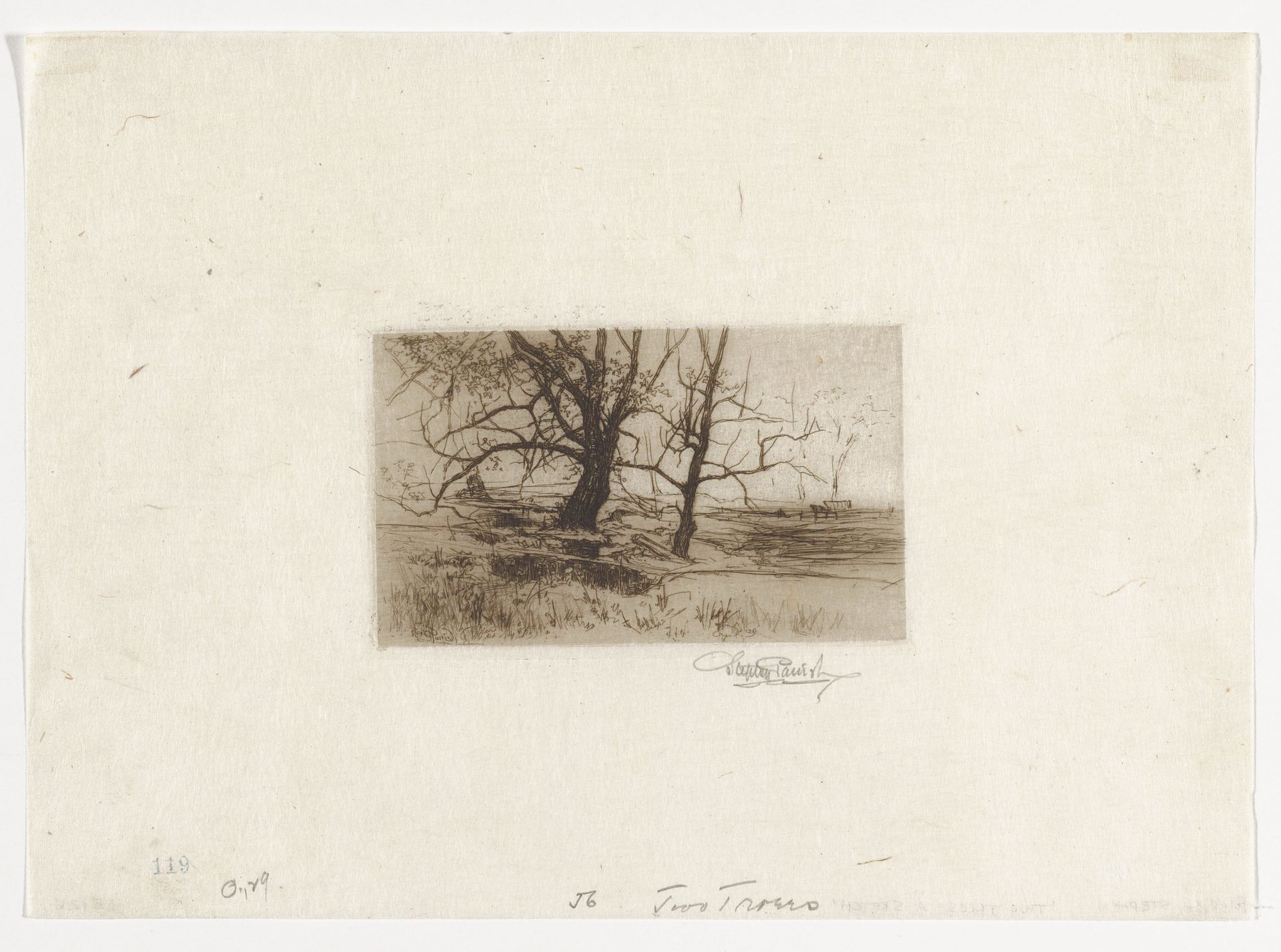Two Trees - Sketch by Stephen Parrish