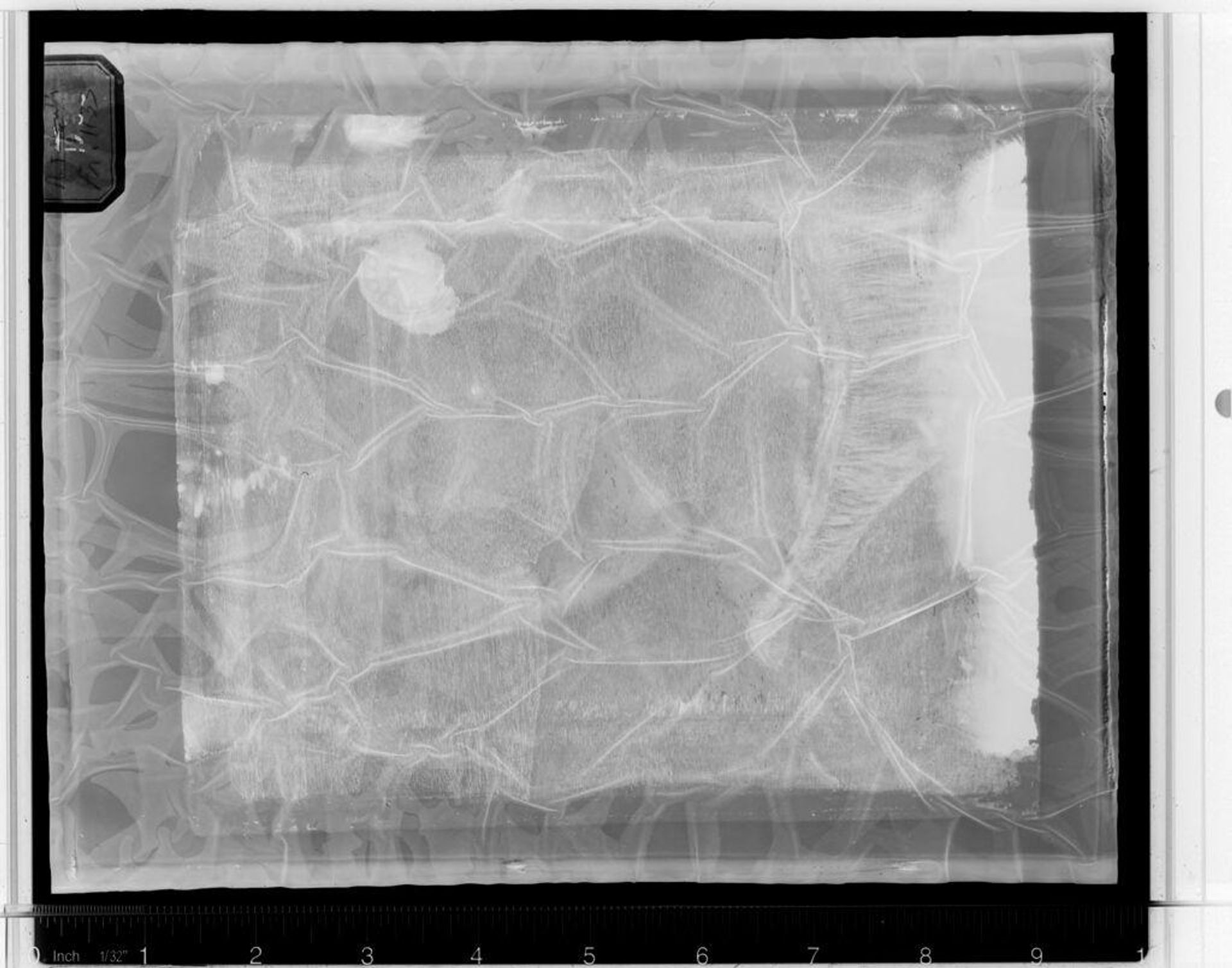 X-radiograph(s) of "Male Portrait" by Artist of original: Paris Bordone
