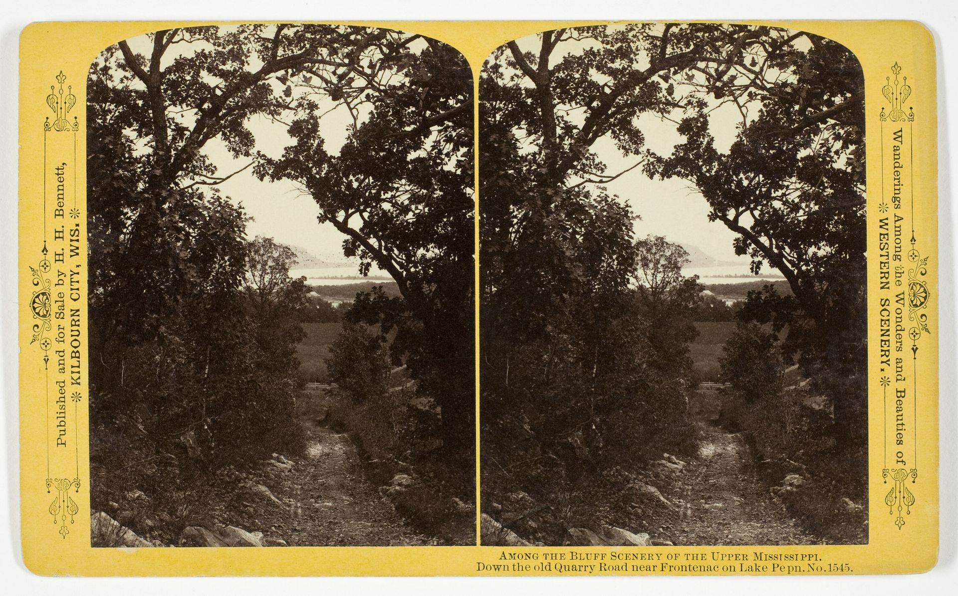 Down the old Quarry Road near Frontenac on Lake Pepn by Henry Hamilton Bennett