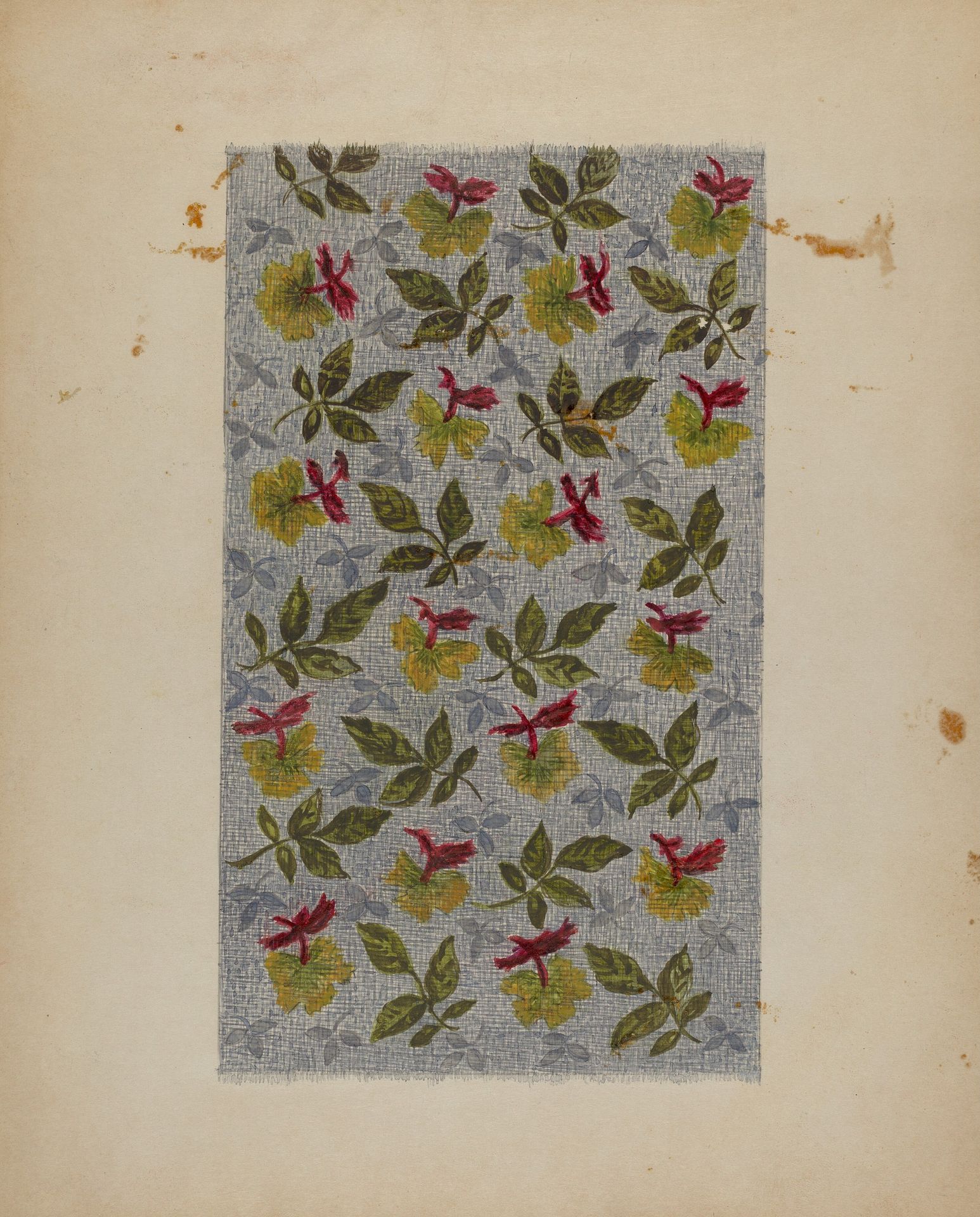 Calico by Florence Stevenson