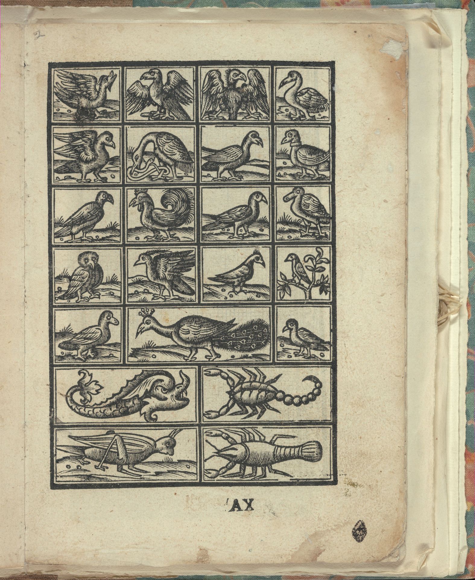 Opera Nova Universali intitulata Corona di racammi, page 21 (recto) by Giovanni Andrea Vavassore