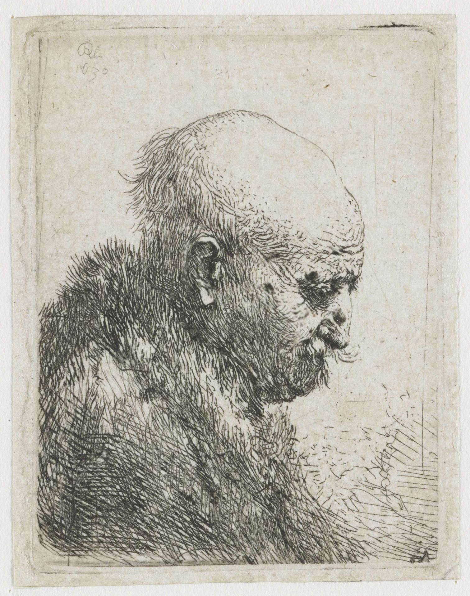 Bald headed man in profile right: small bust, the artist's father (?) by Rembrandt van Rijn
