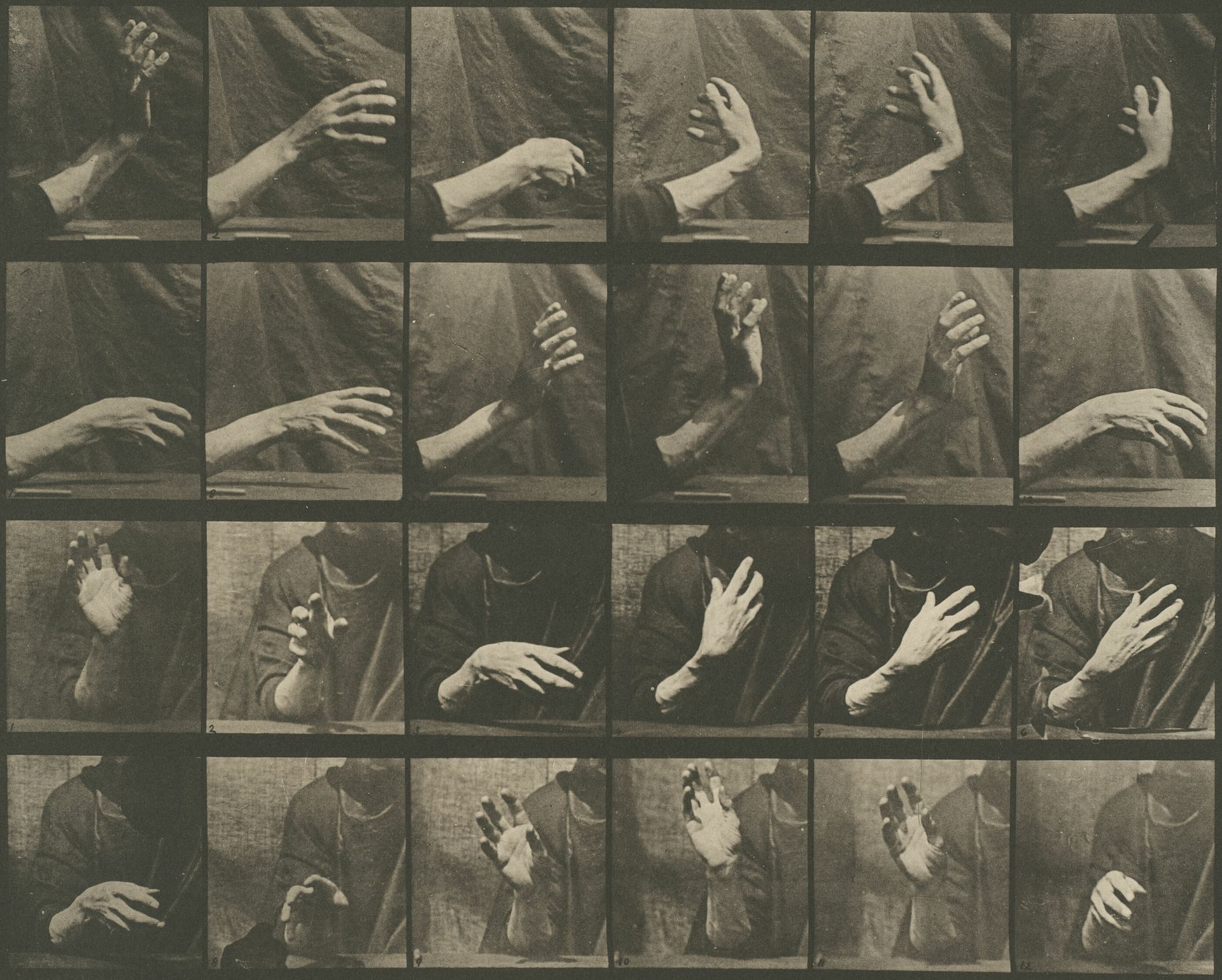 Animal Locomotion, Plate 535 by Eadweard Muybridge