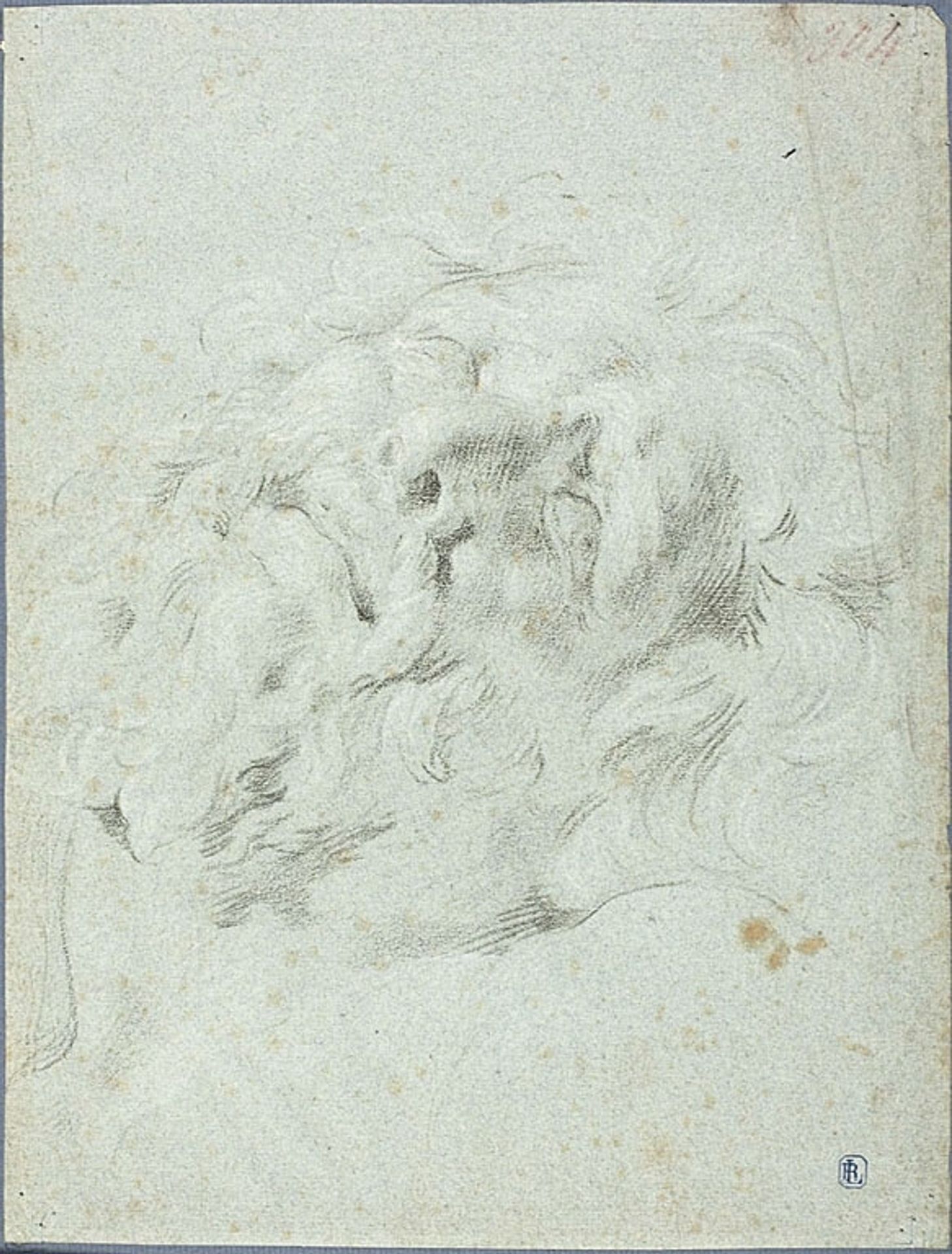 Head from Laocoon Group by Anton Domenico Gabbiani
