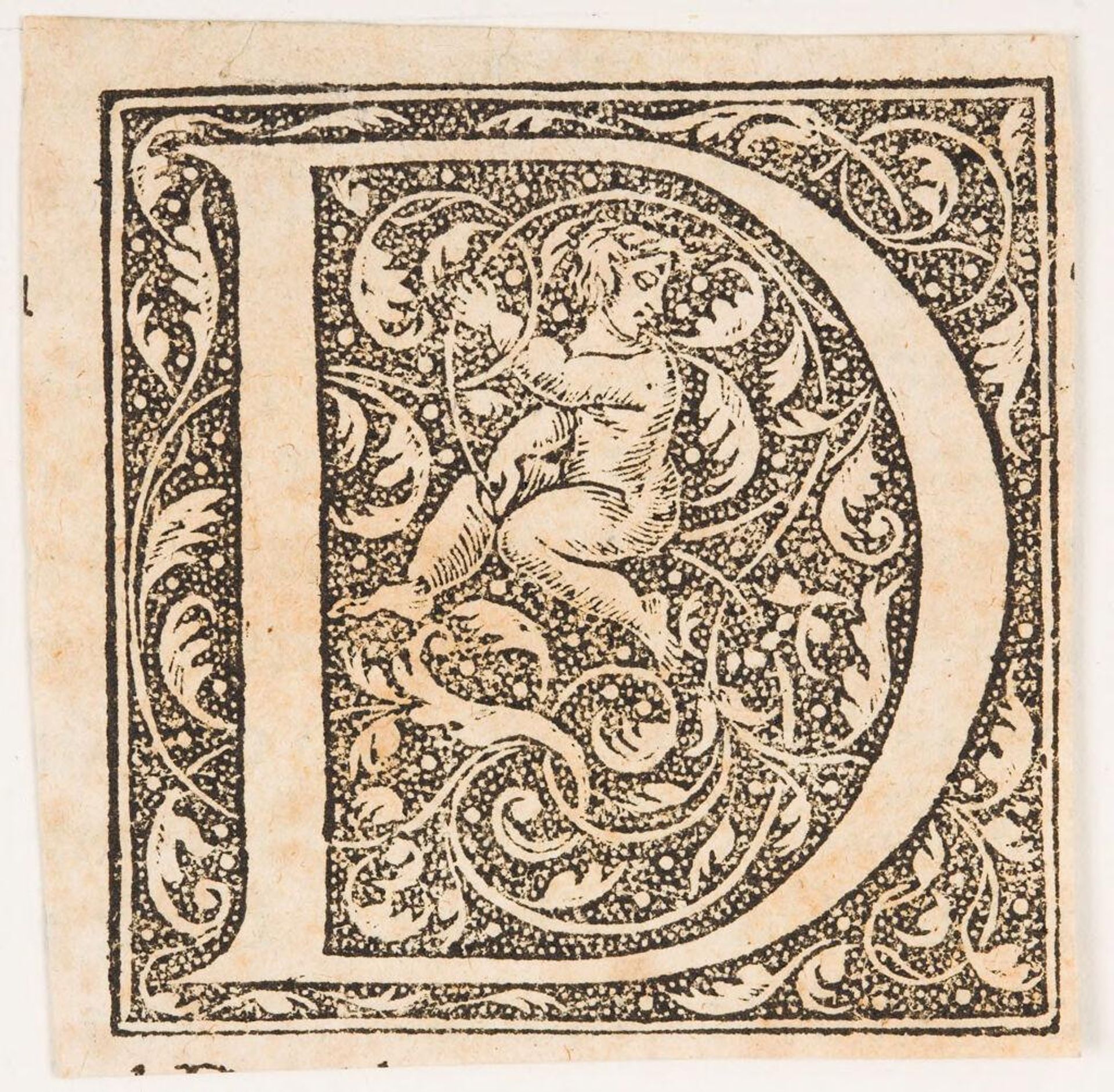 Letter D by Anonymous