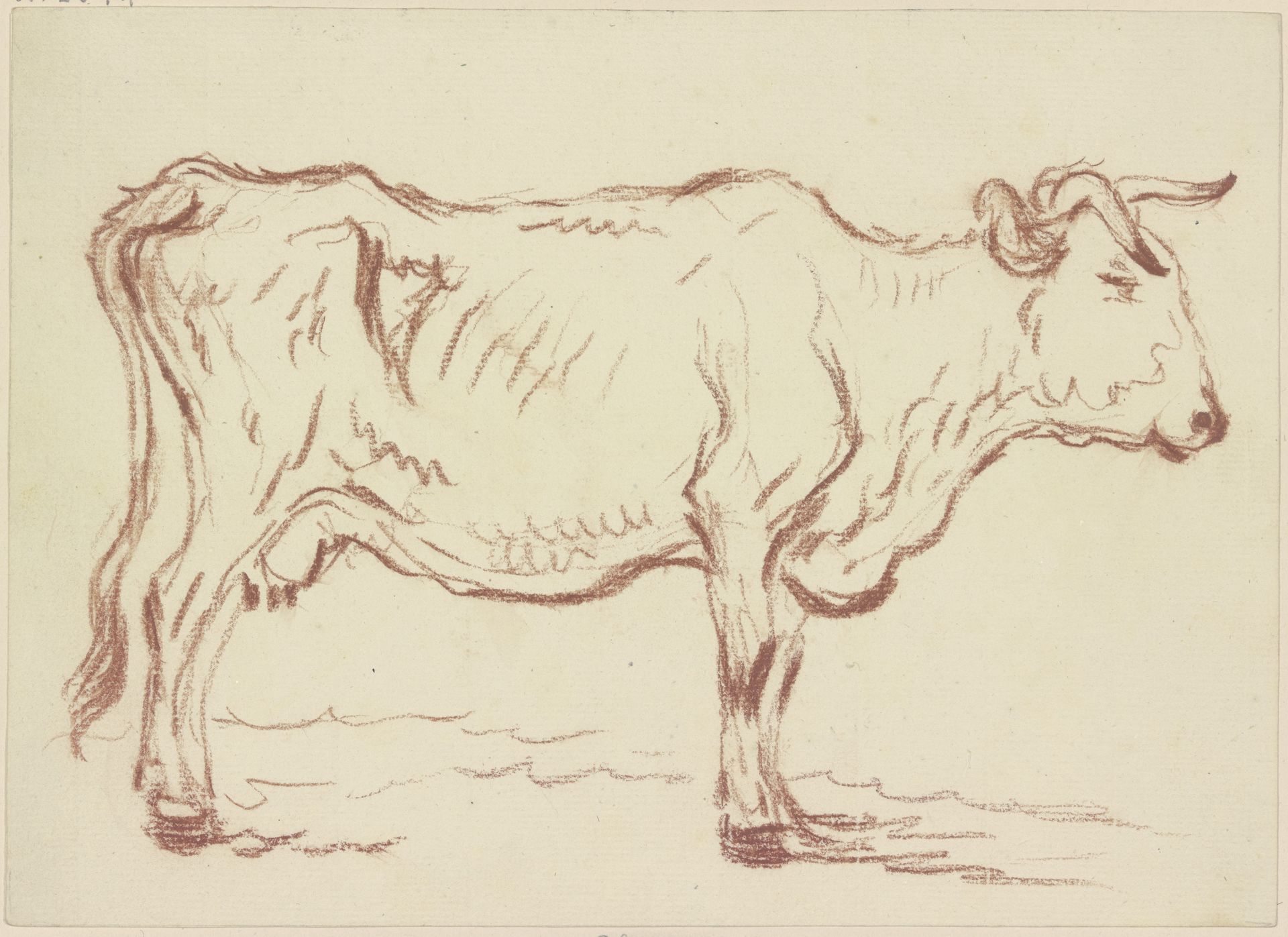 Standing cow to the right by Friedrich Wilhelm Hirt
