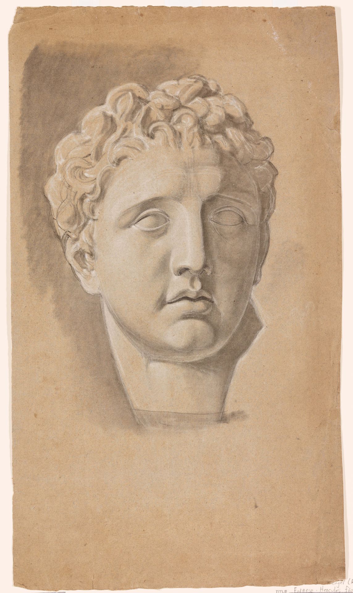 Head of Meleager (recto) by Pietro Fancelli