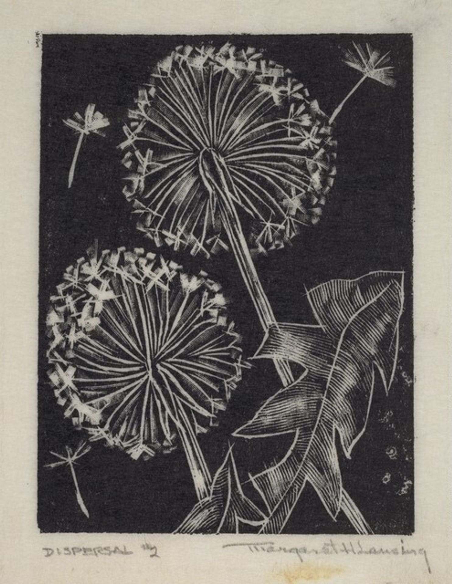 Dispersal #2 by Margaret Hunt Lansing