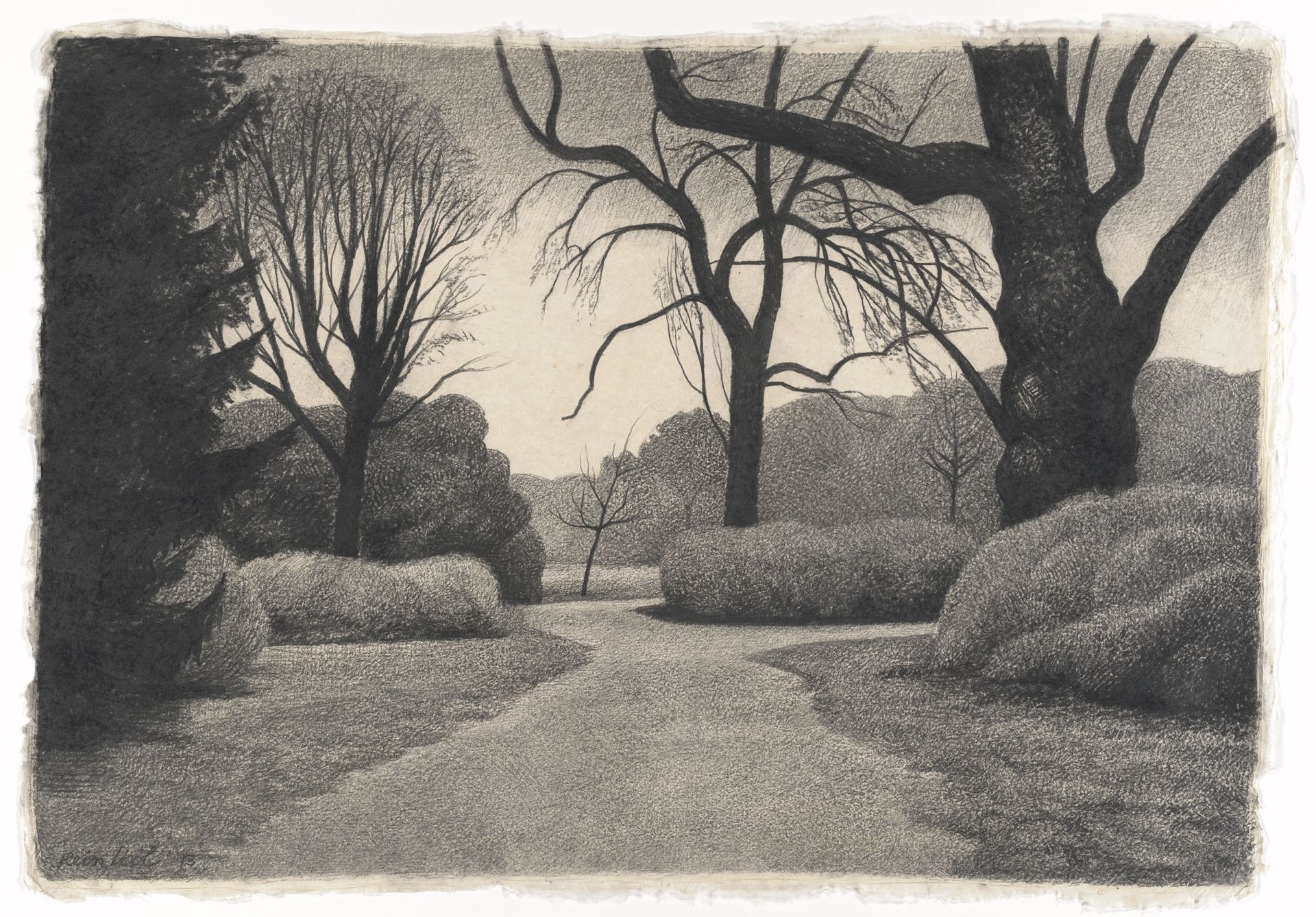 Driesprong in het Wantijpark by Rein Dool
