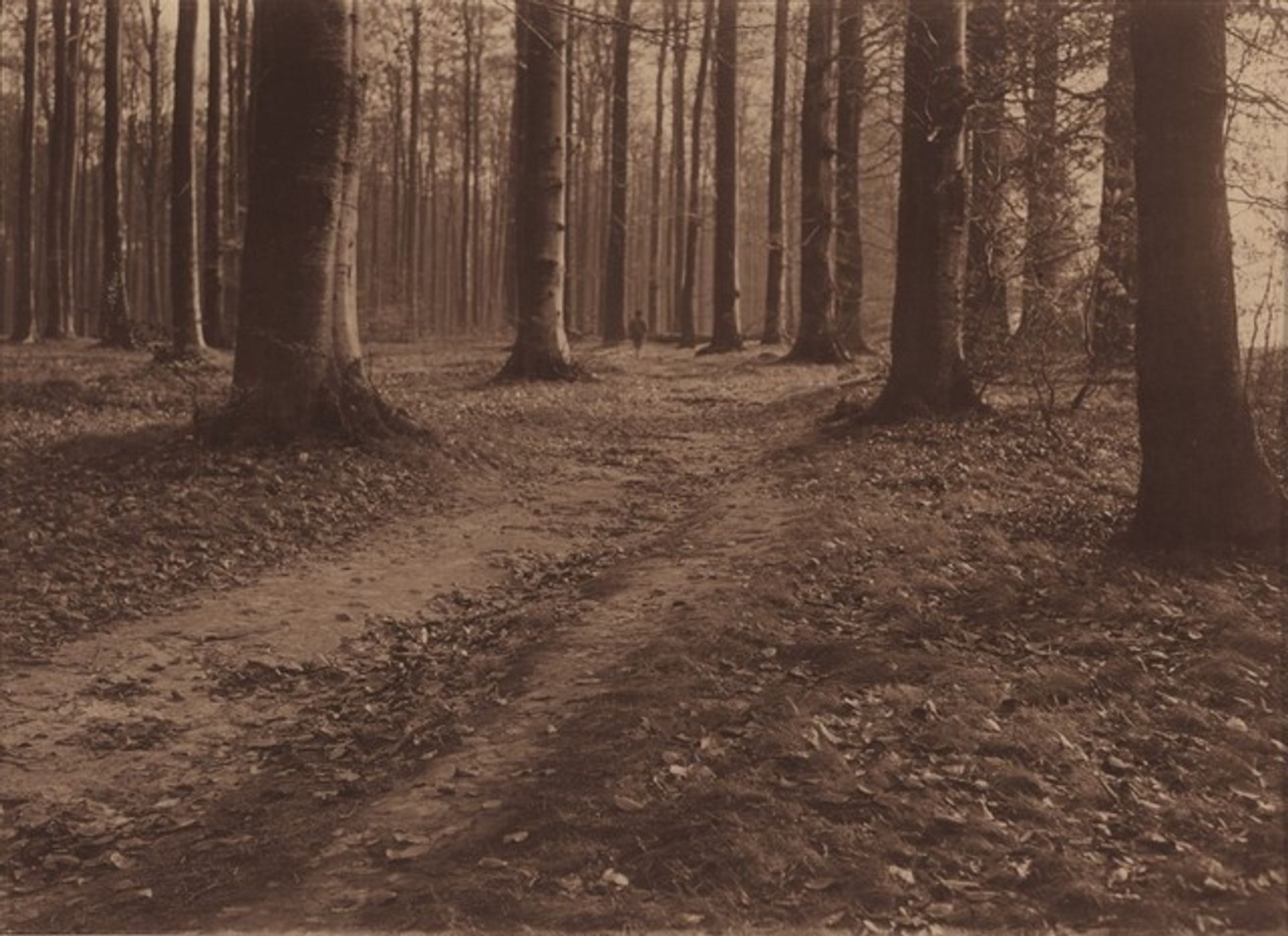 Landscape by Léonard Misonne