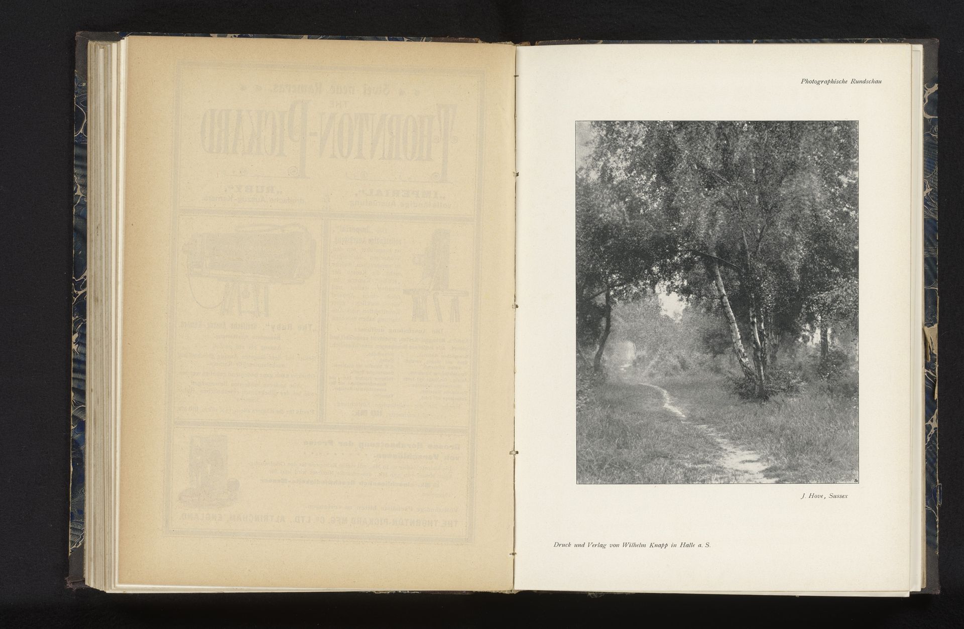 Gezicht op een pad door het bos by J Hove
