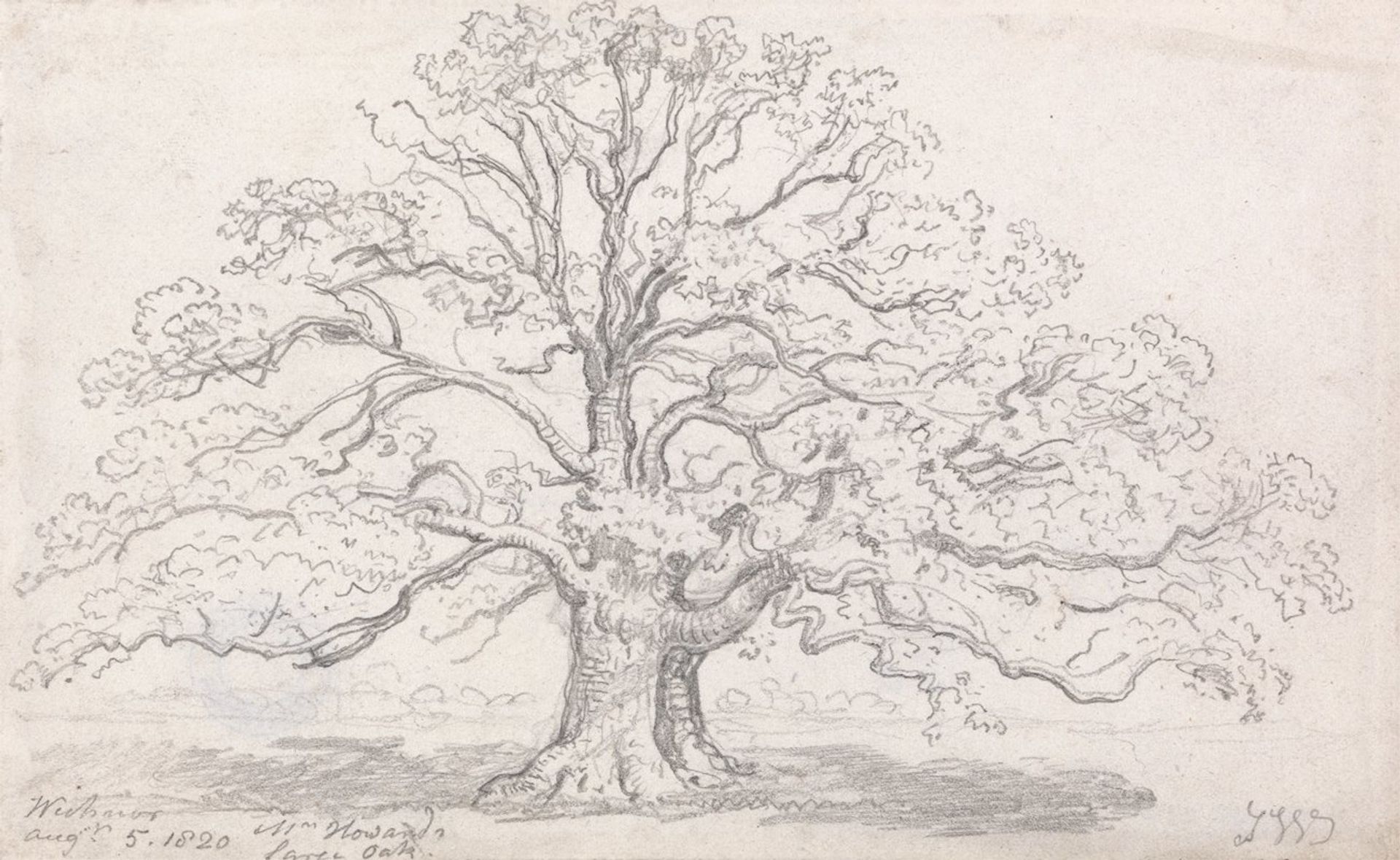 Mr. Howard’s Large Oak, August 5, 1820 by James Ward