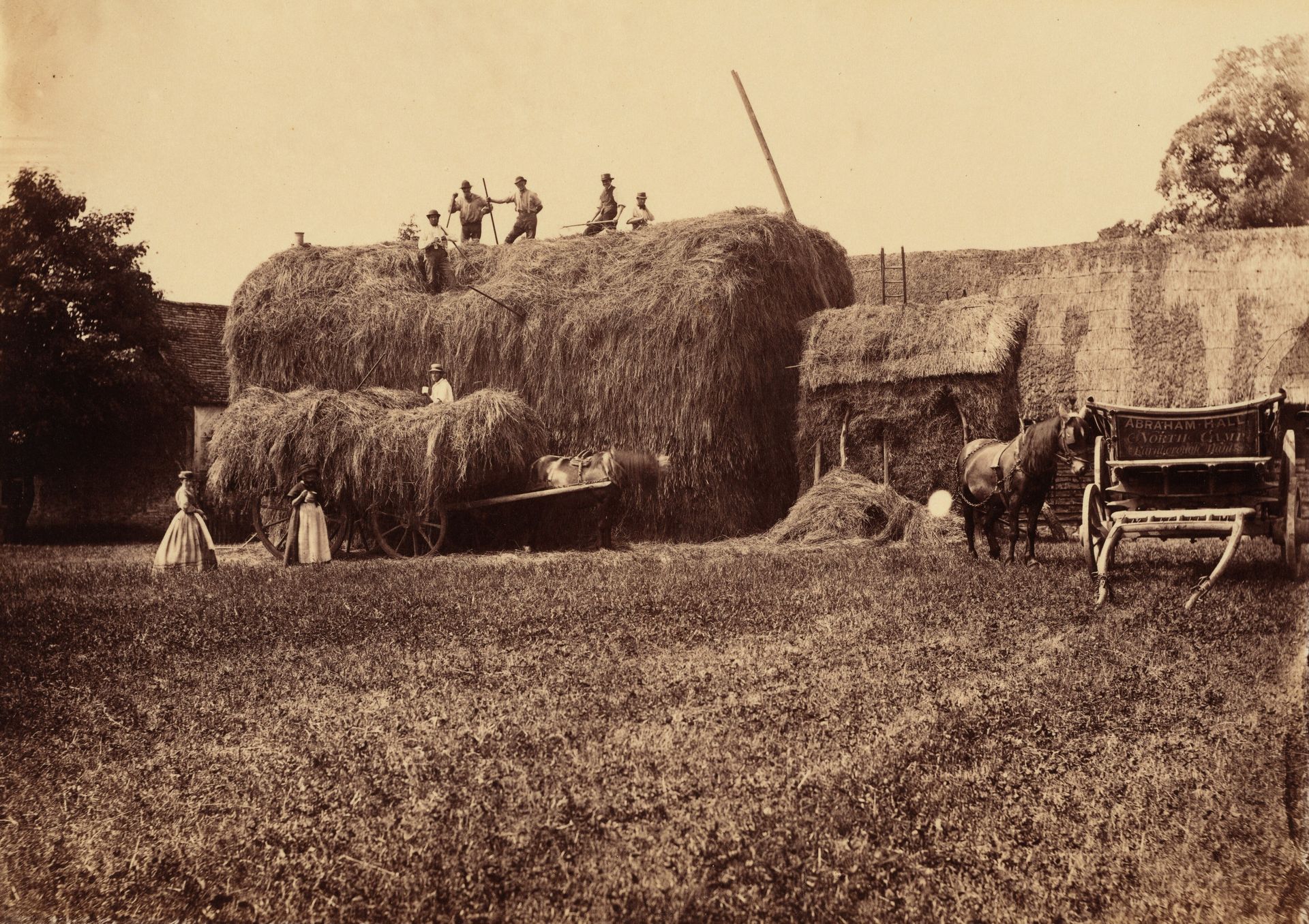 Building a Haystack by Robert Tucker Pain