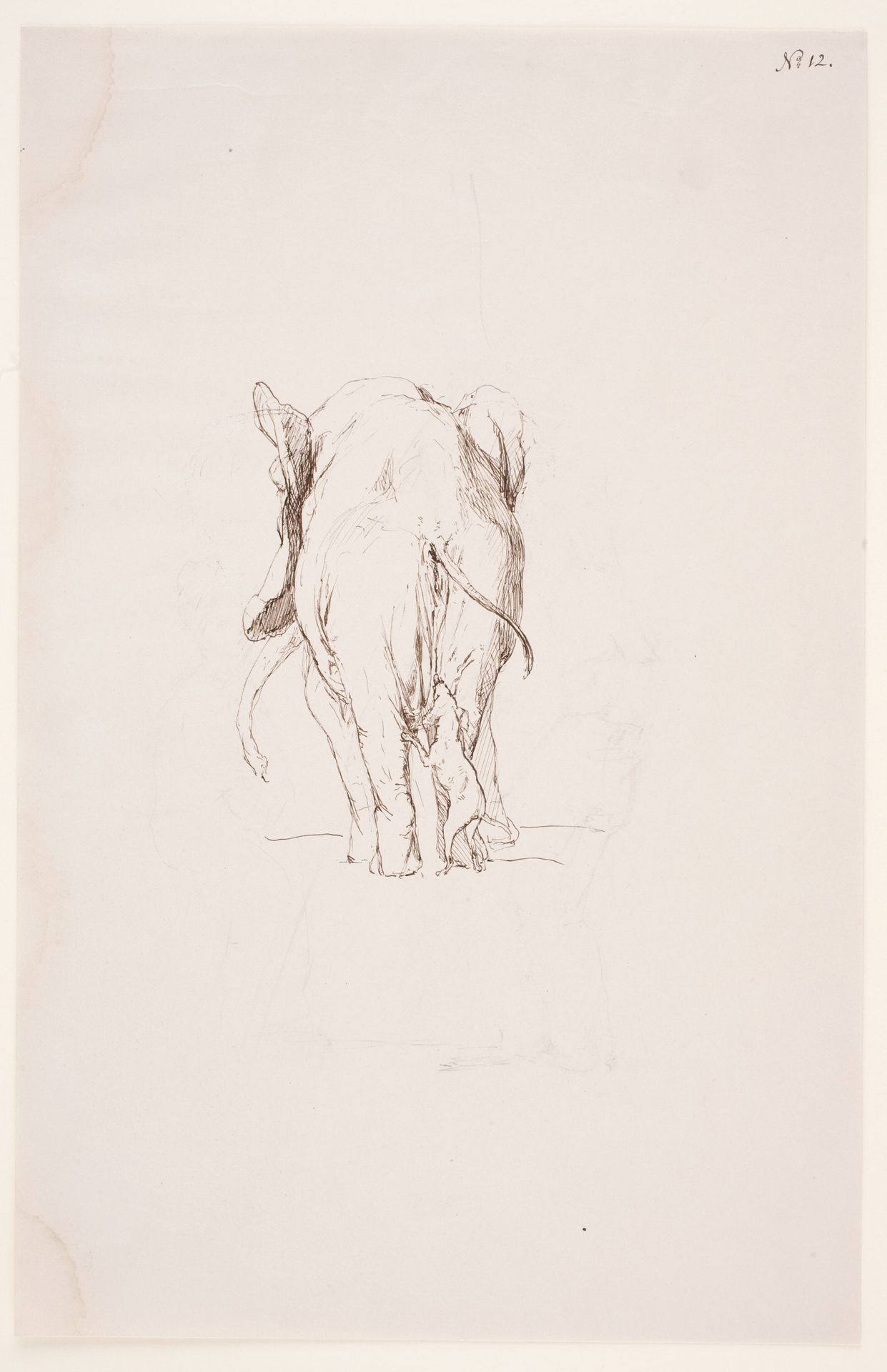"Weg der Befleckung" - "Elefant og snusende hund" by Max Klinger