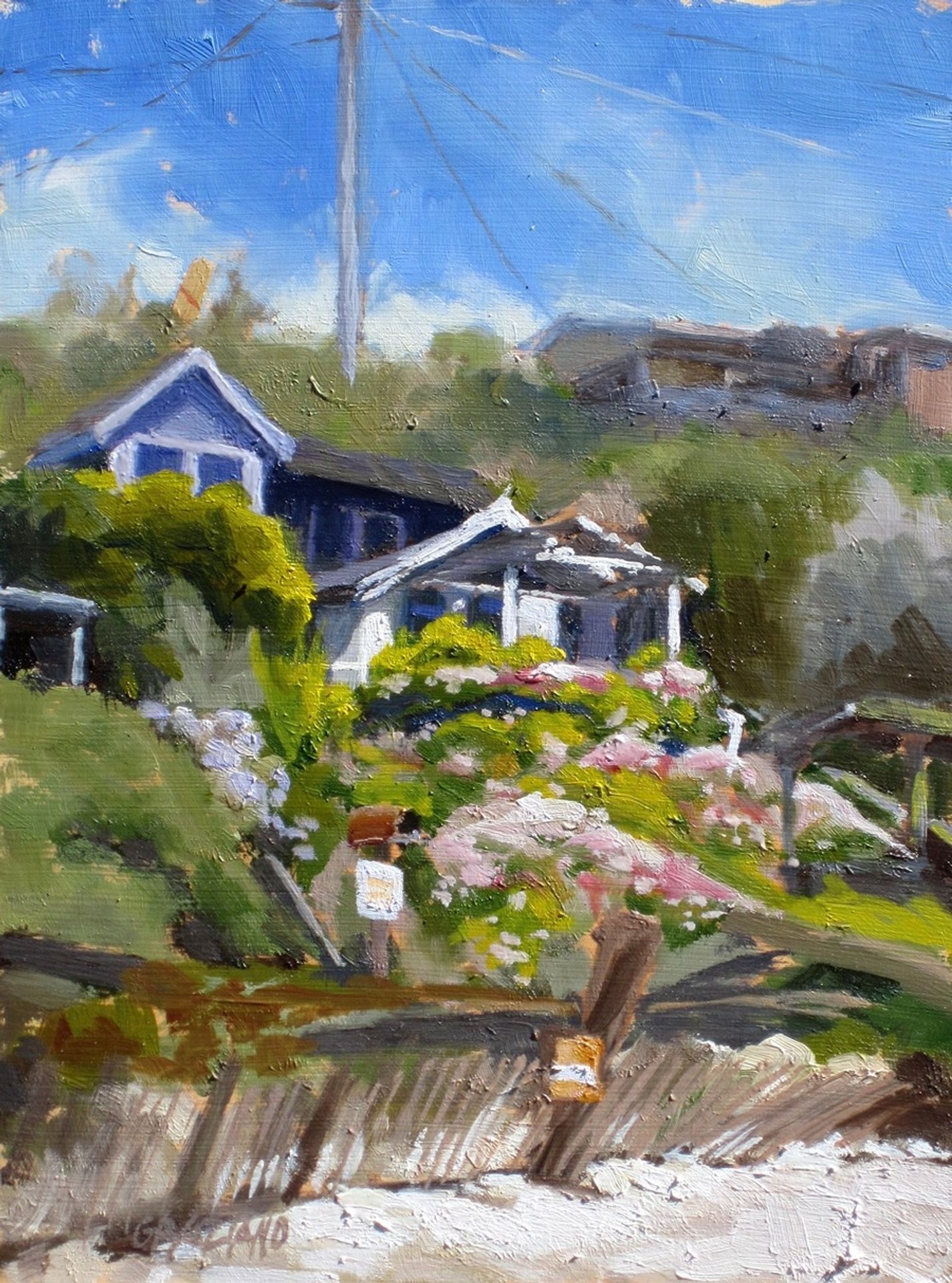 Morning At The Cove by Dan Graziano