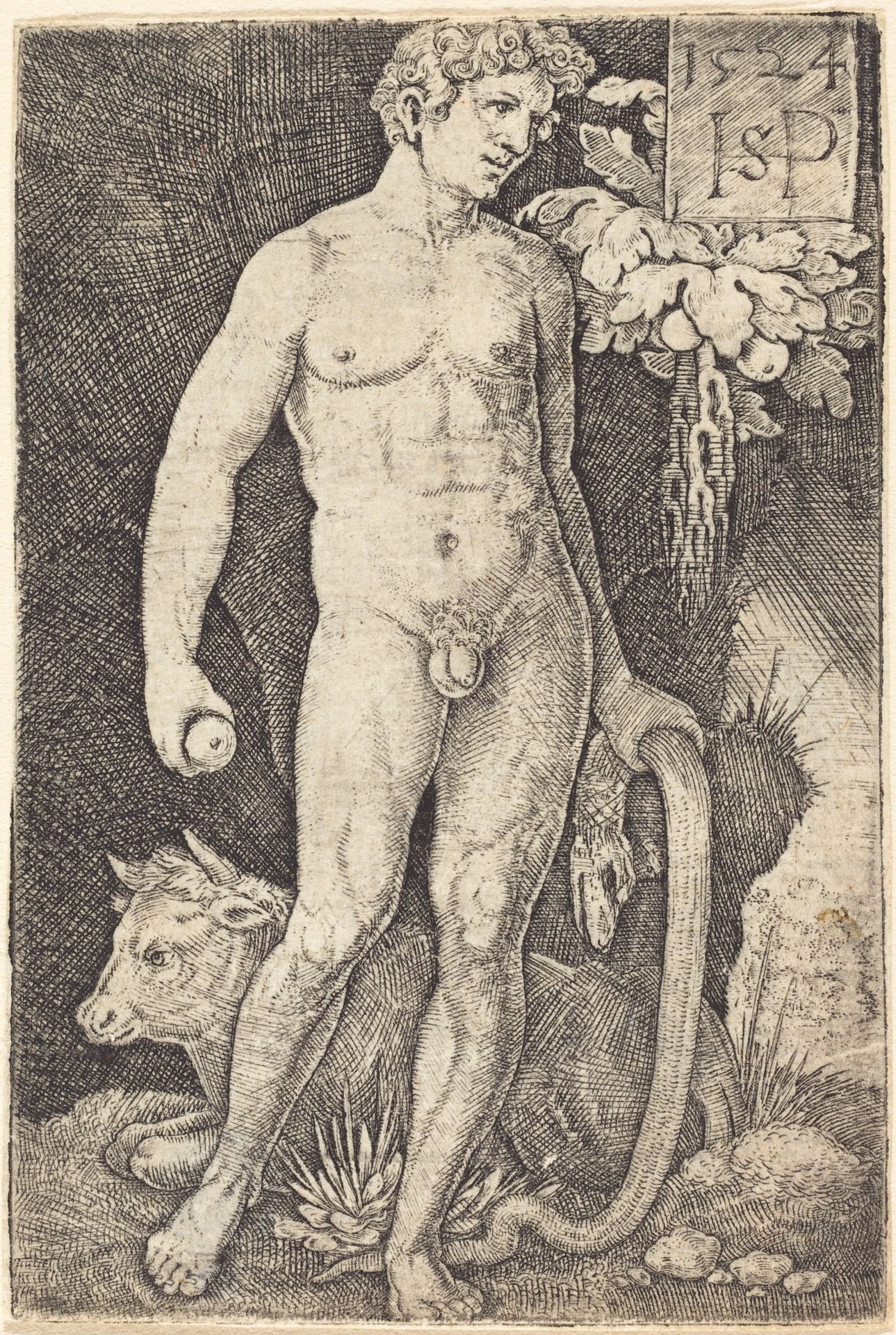 Adam Standing by Sebald Beham