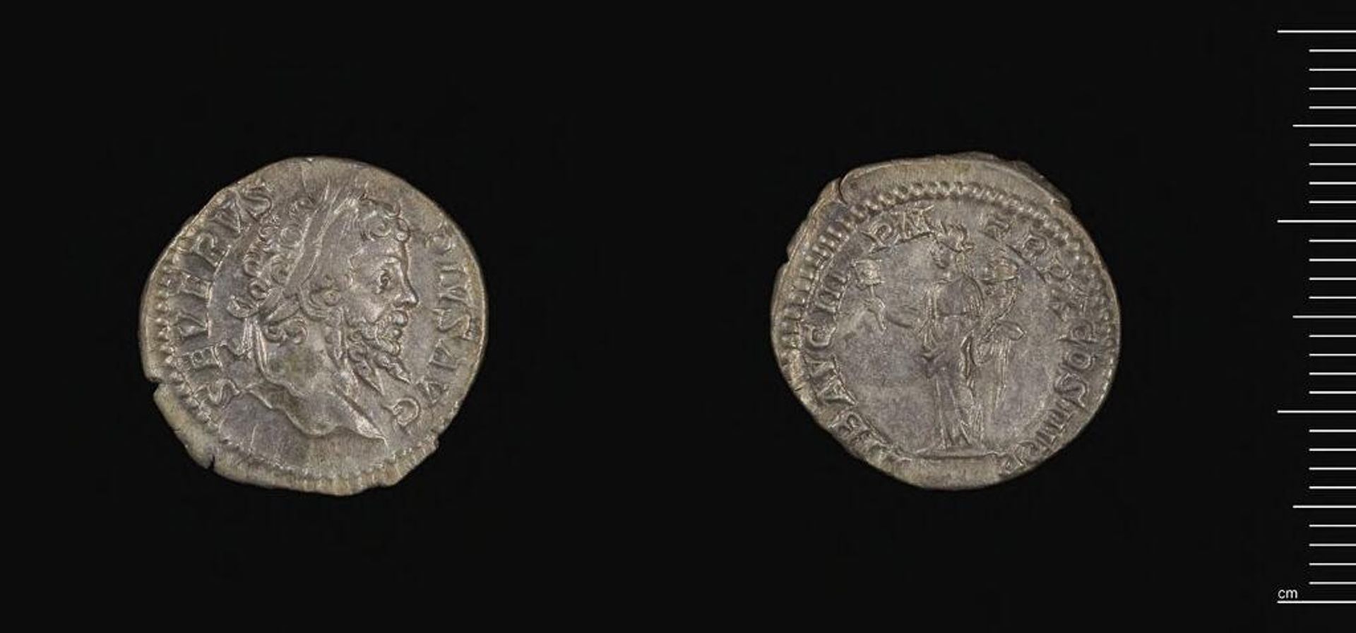 Denarius of Septimius Severus by Septimius Severus