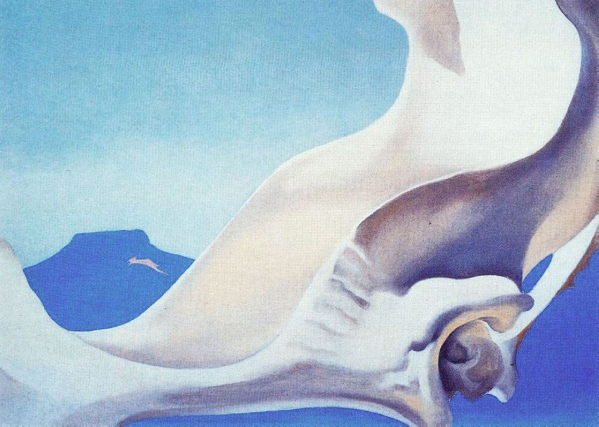 Pelvis with pedernal by Georgia O'Keeffe