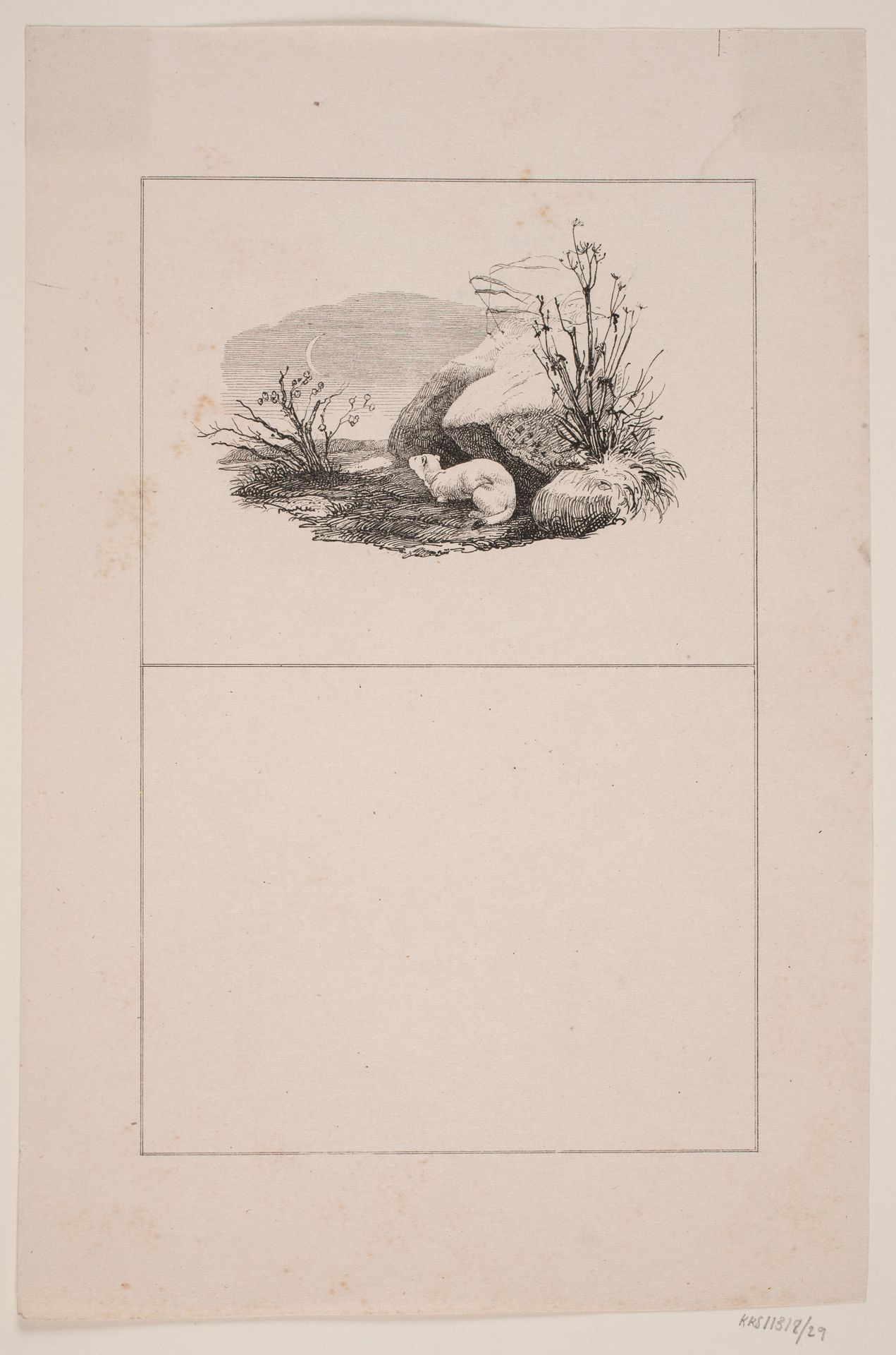 Lækatten by Adolph Kittendorff