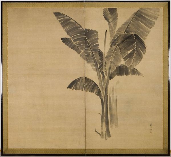 Large Banana Leaf