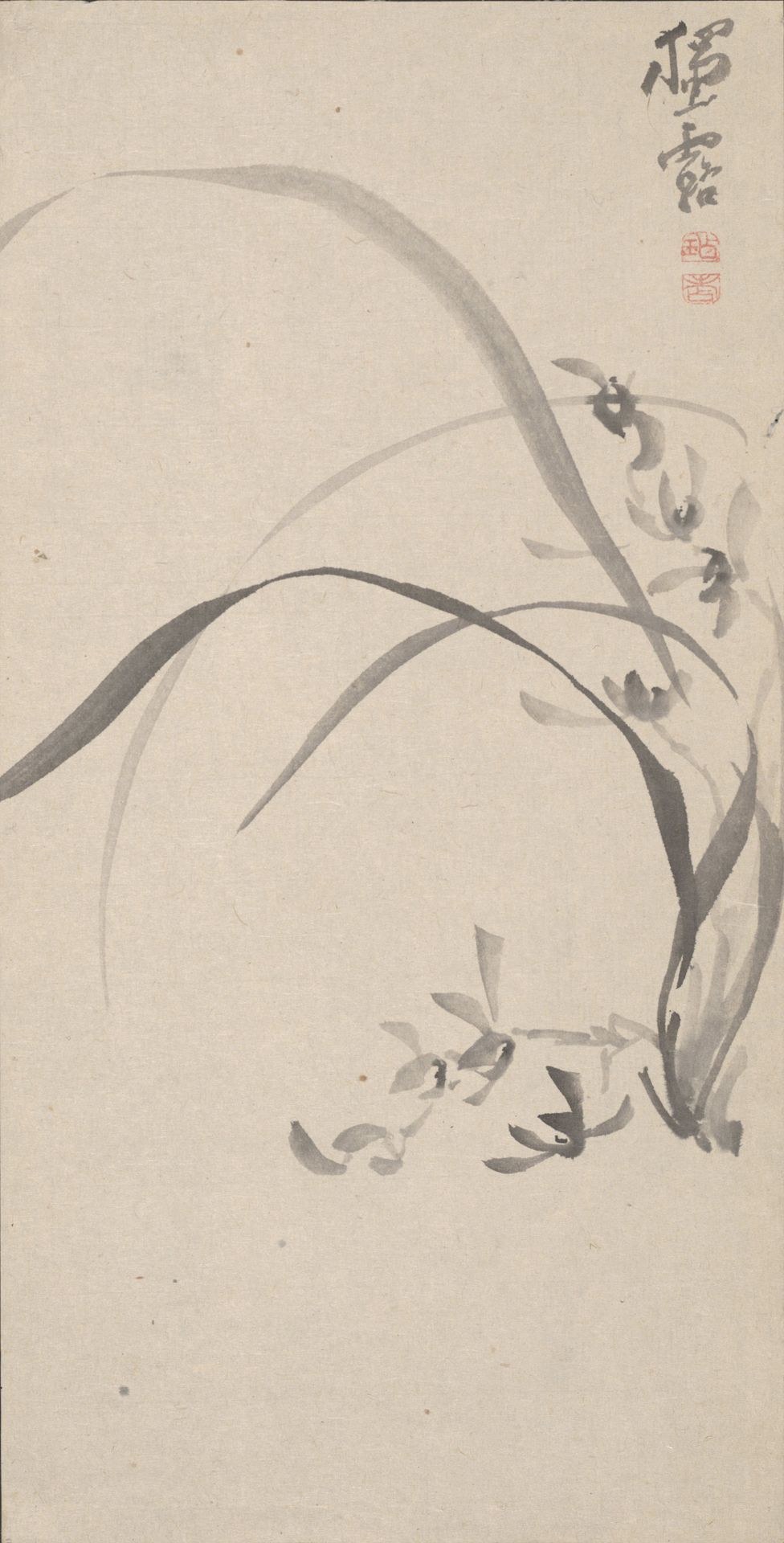 Orchid by Sō Dokuro