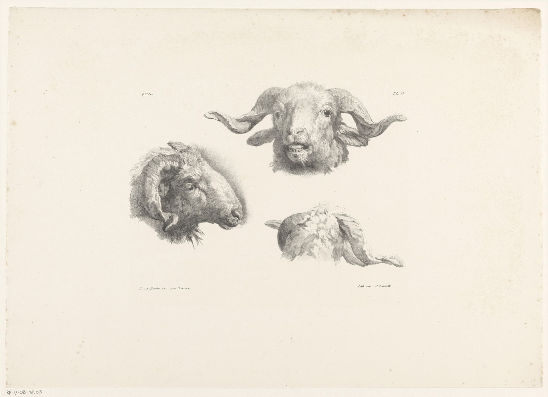 Drie ramskoppen by Roelof van der Meulen
