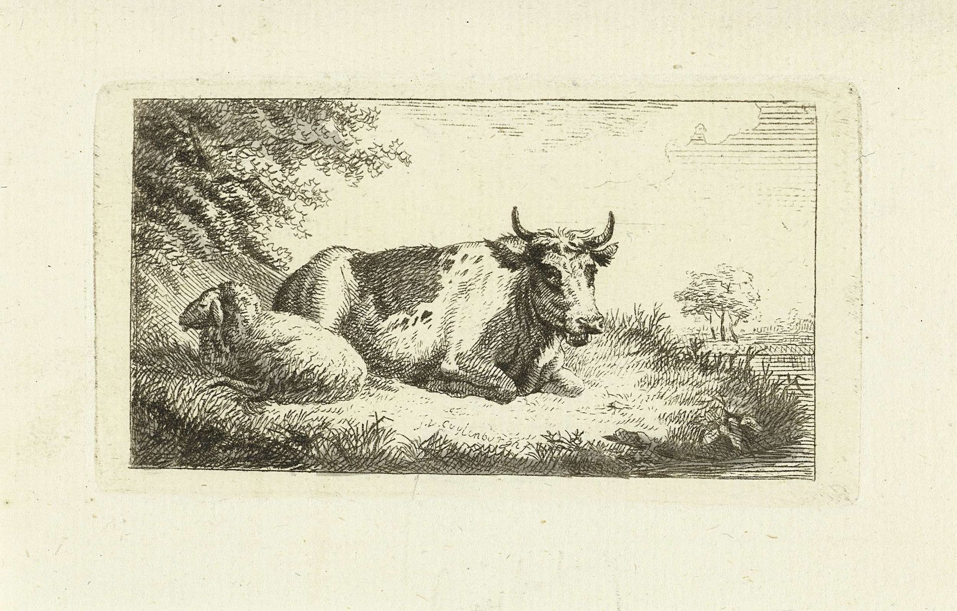 Liggende koe en schaap by Johannes van Cuylenburgh