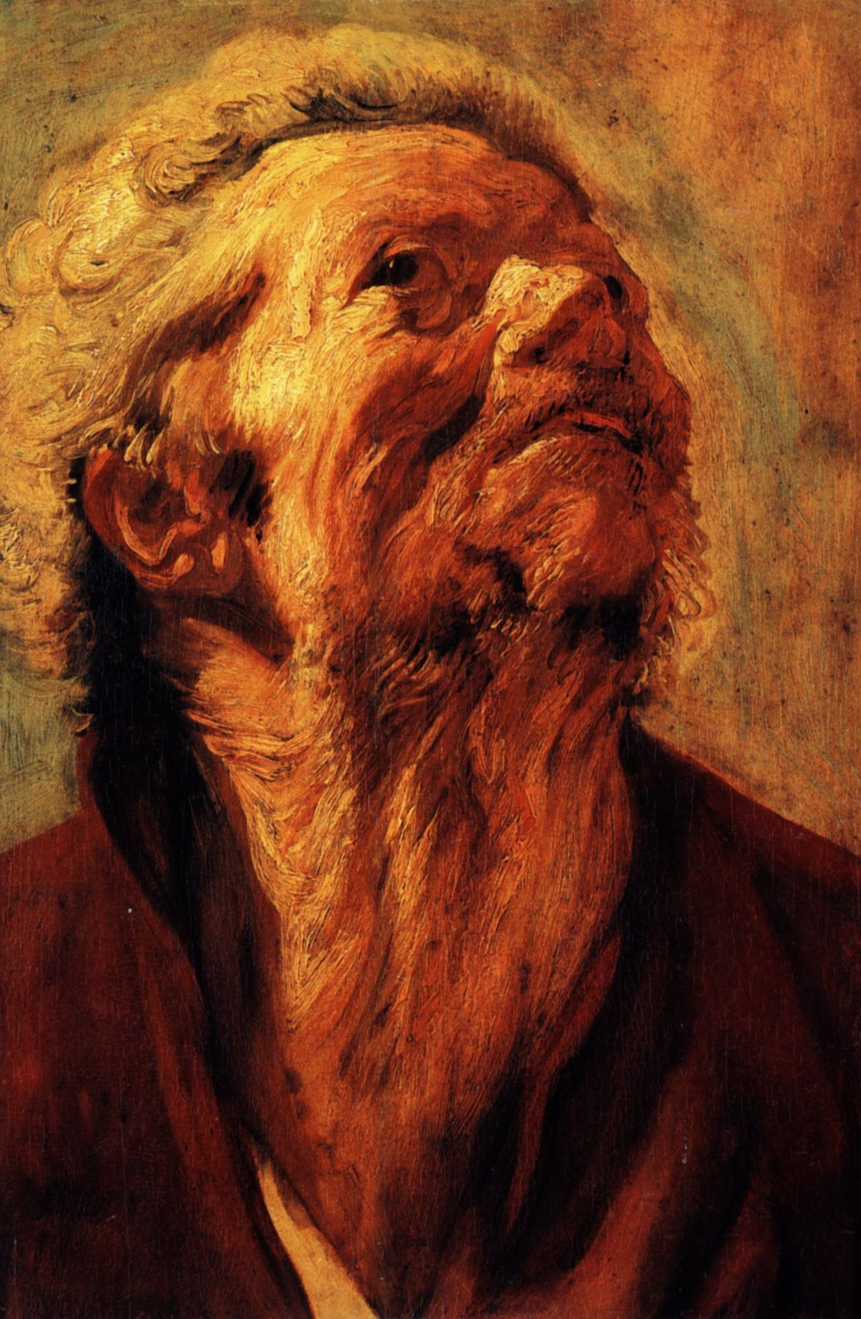 Study of the head of Abraham Grapheus by Jacob Jordaens