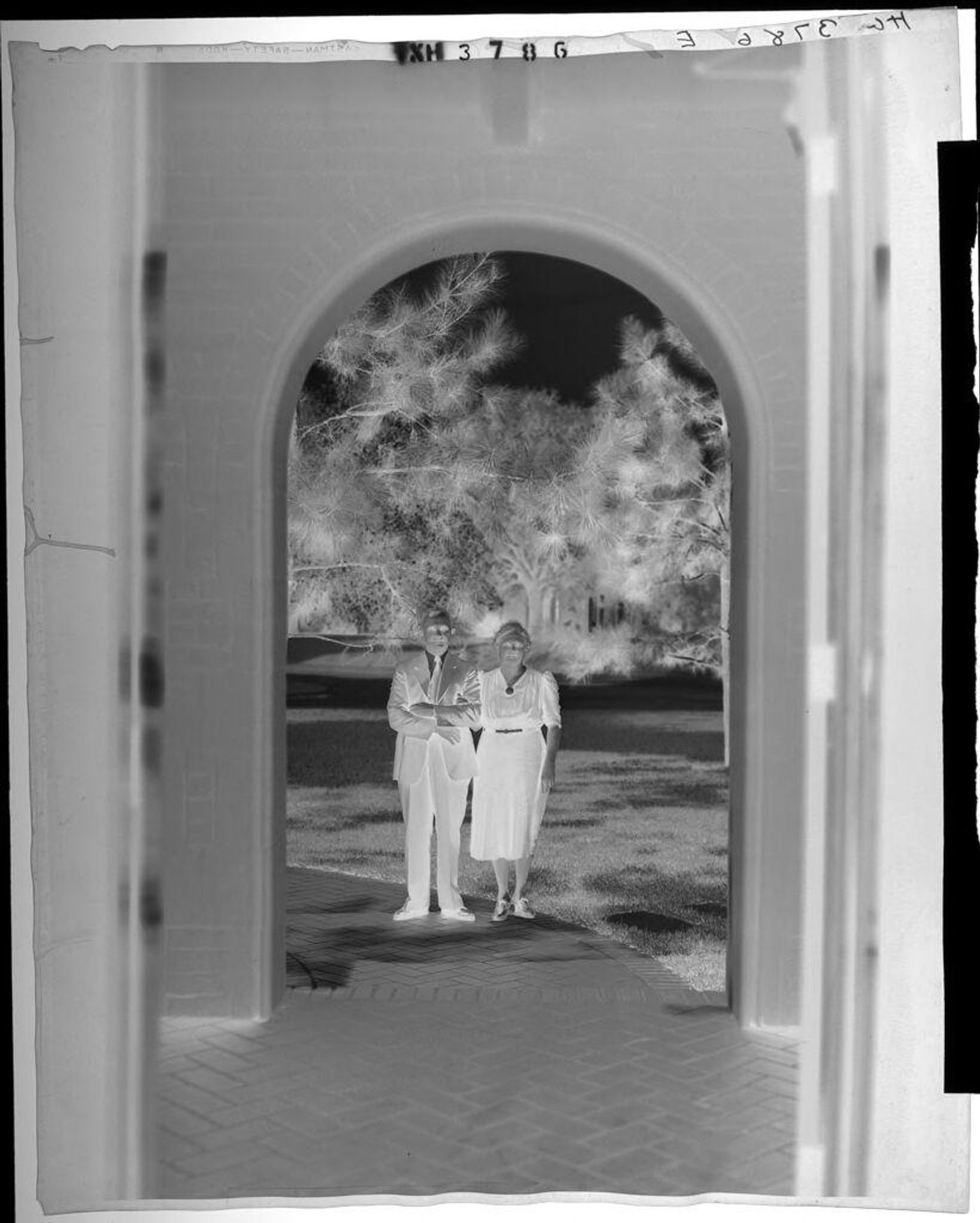 Untitled (older couple standing in arch in front of pine trees) by Paul Gittings