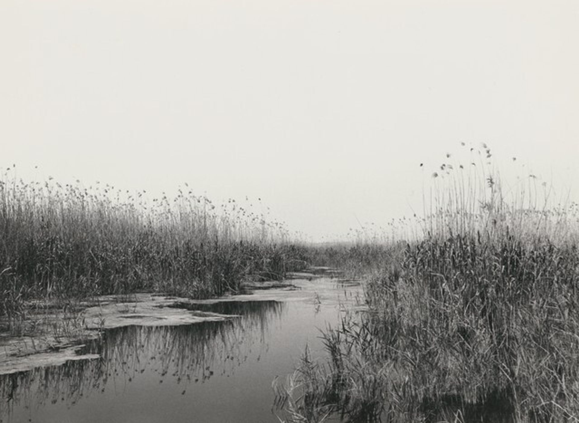 Untitled by Ursula Schulz-Dornburg