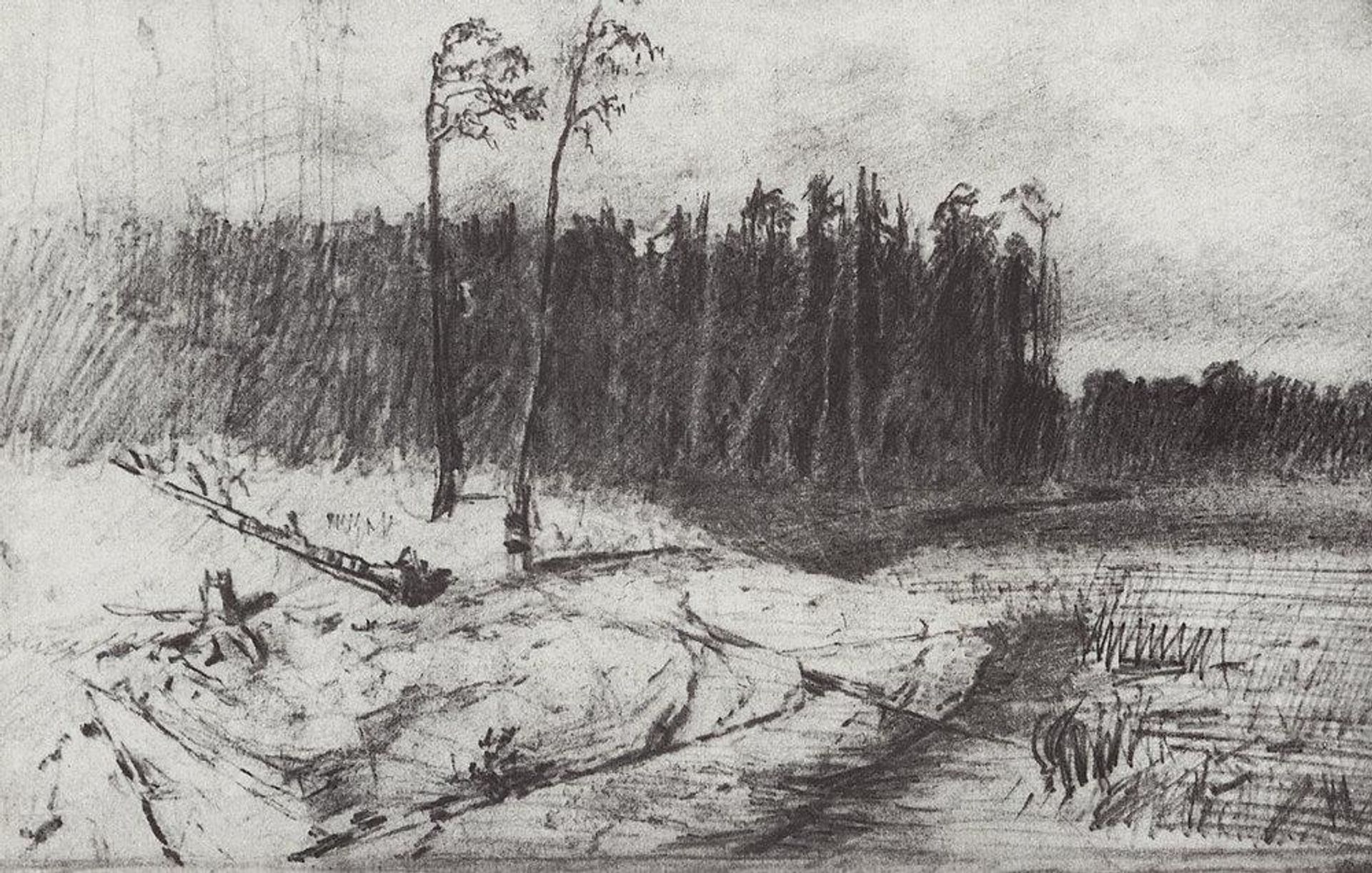 Forest near the water by Arkhyp Kuindzhi