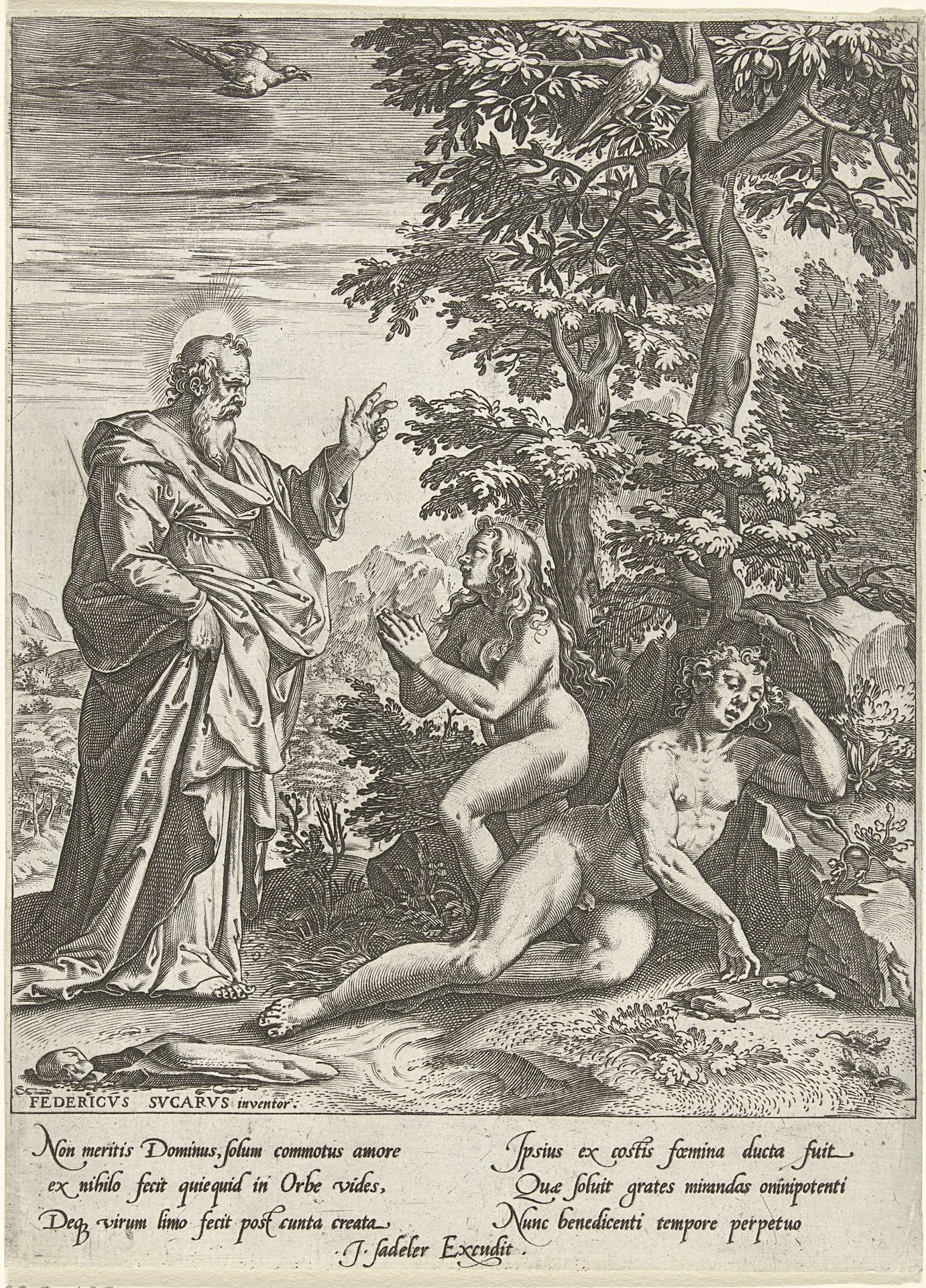 De schepping van Eva by Anonymous