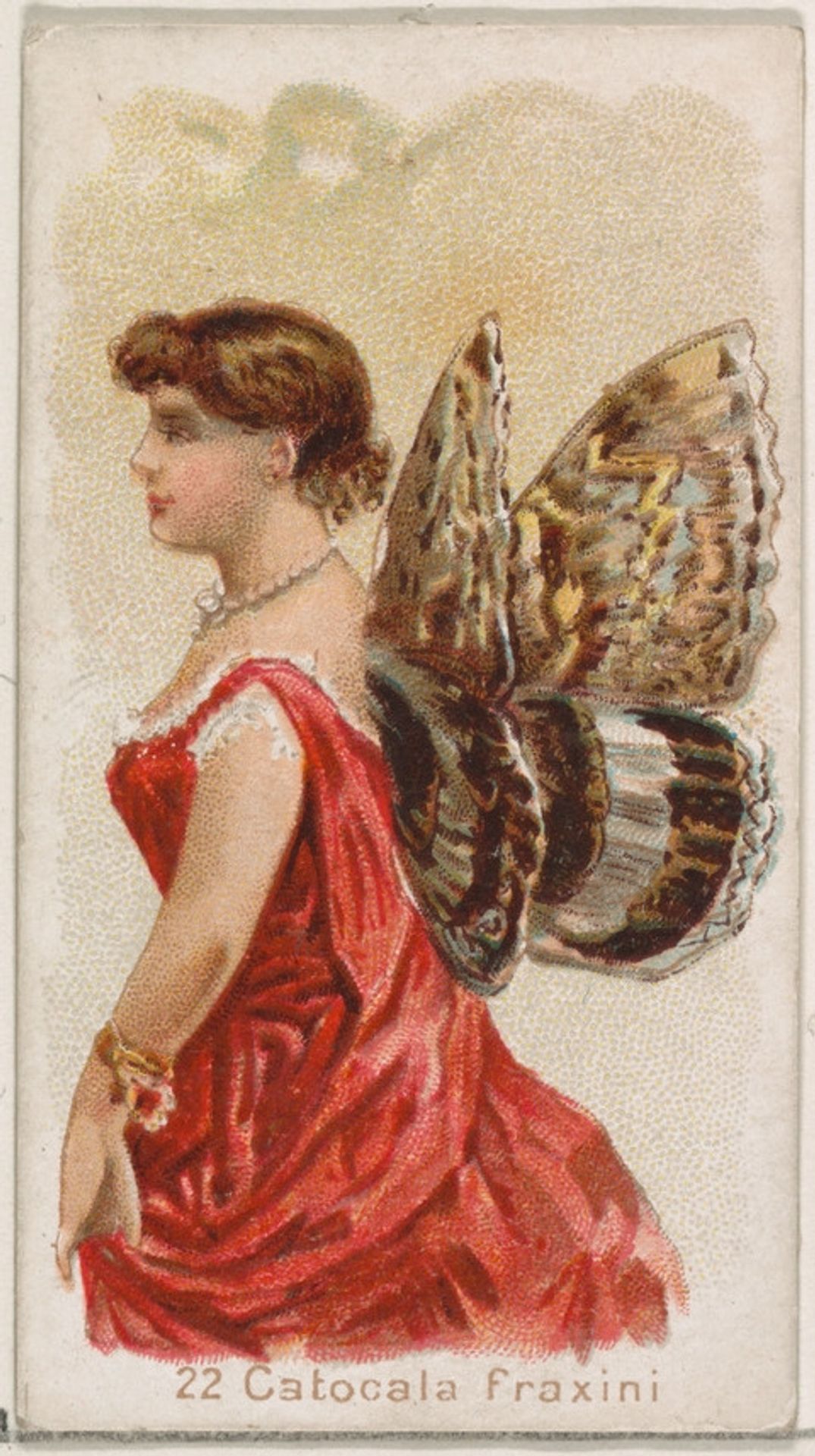 Card 22, Catogala Fraxini, from the Butterflies series (N183) issued by Wm. S. Kimball & Co. by William S. Kimball & Company