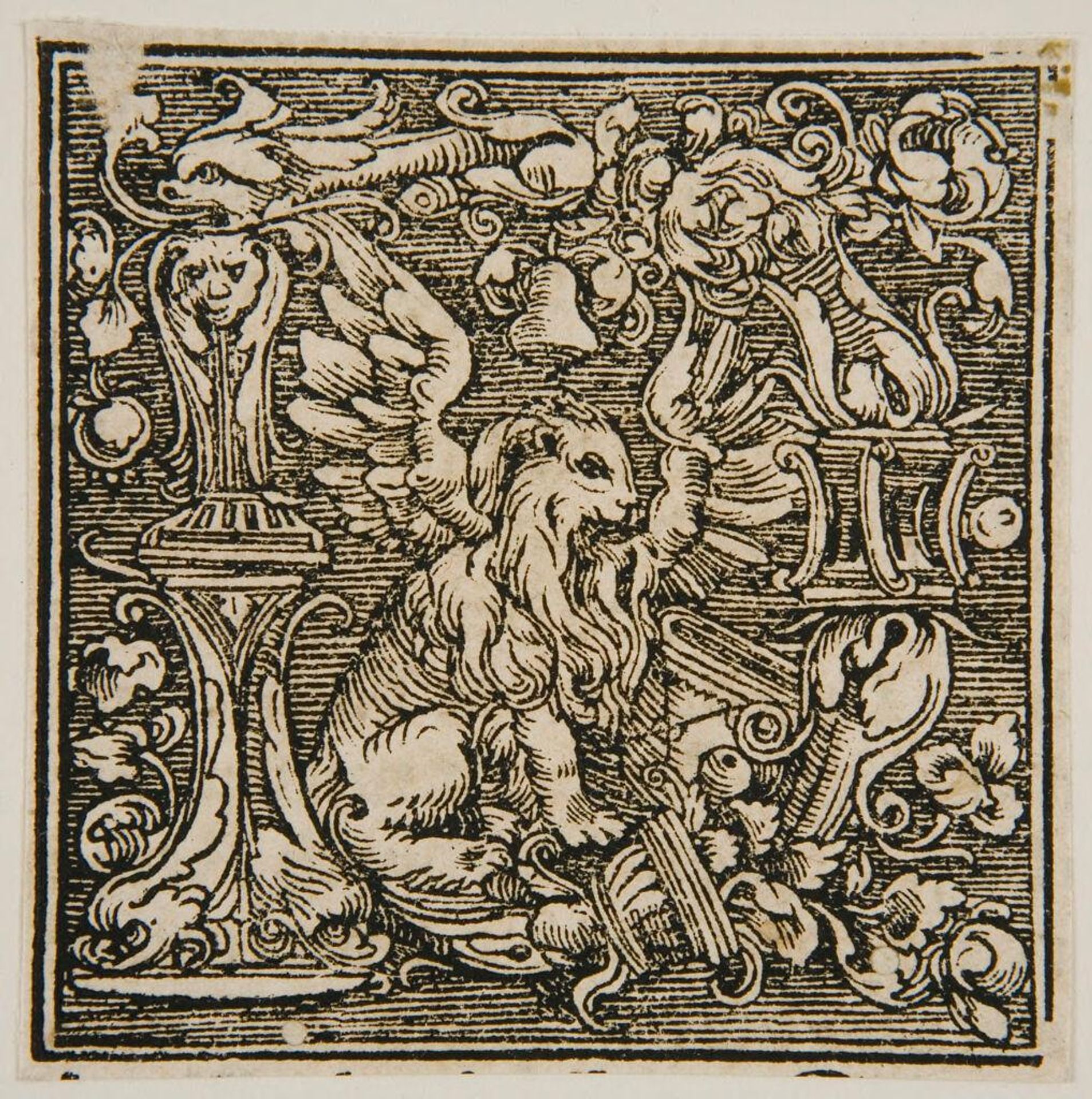 Letter D with Lion, symbol of Saint Mark by Anonymous